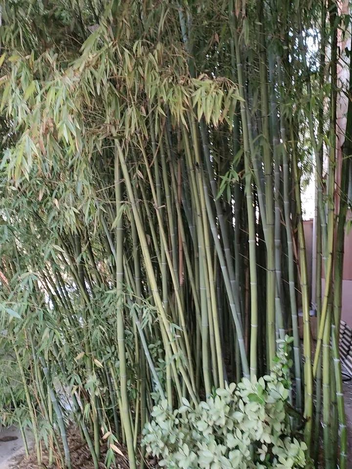 一、对仗工整、意境相配：
上联：秋雨无心敲落叶
下联：寒山有意转愁云

二、意境