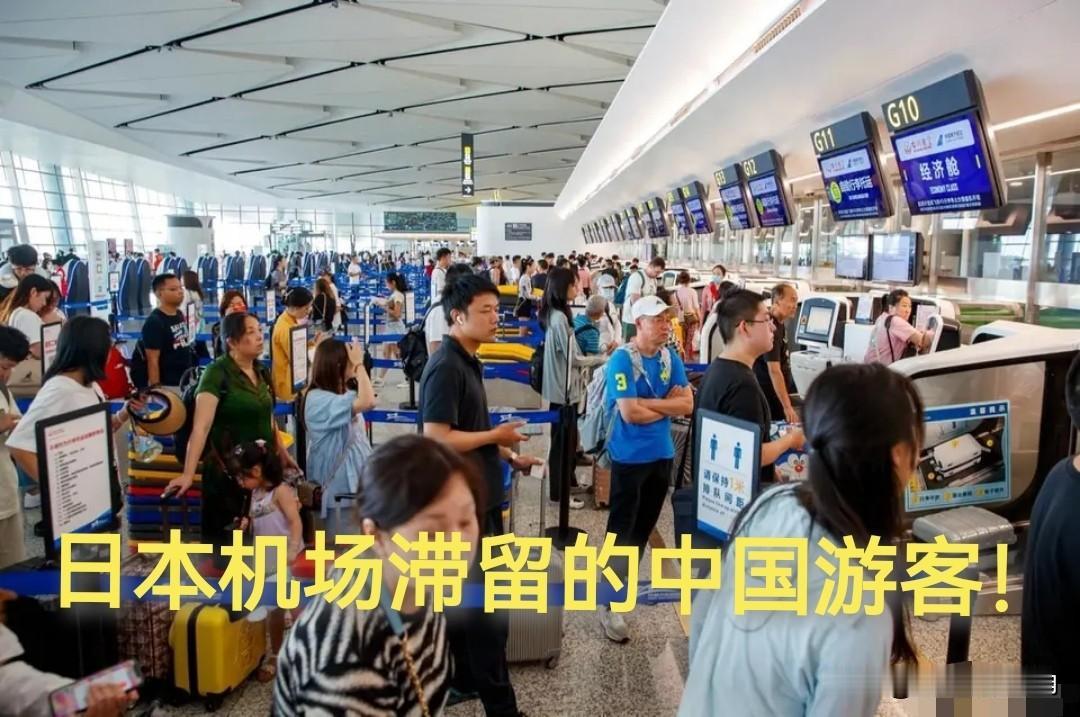 不听劝！
大量中国游客滞留东京机场！
真相远比“不爱国”扎心！

外交部、文旅部
