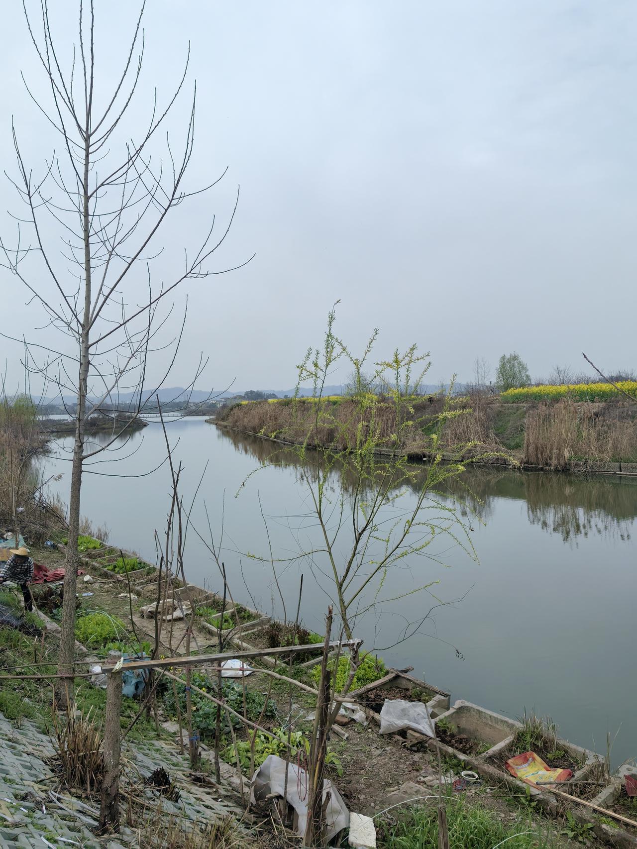 晒图笔记大赛 鄂州花马湖，真的美得不像话！鄂州素有“百湖之市”的美誉，花马湖就是