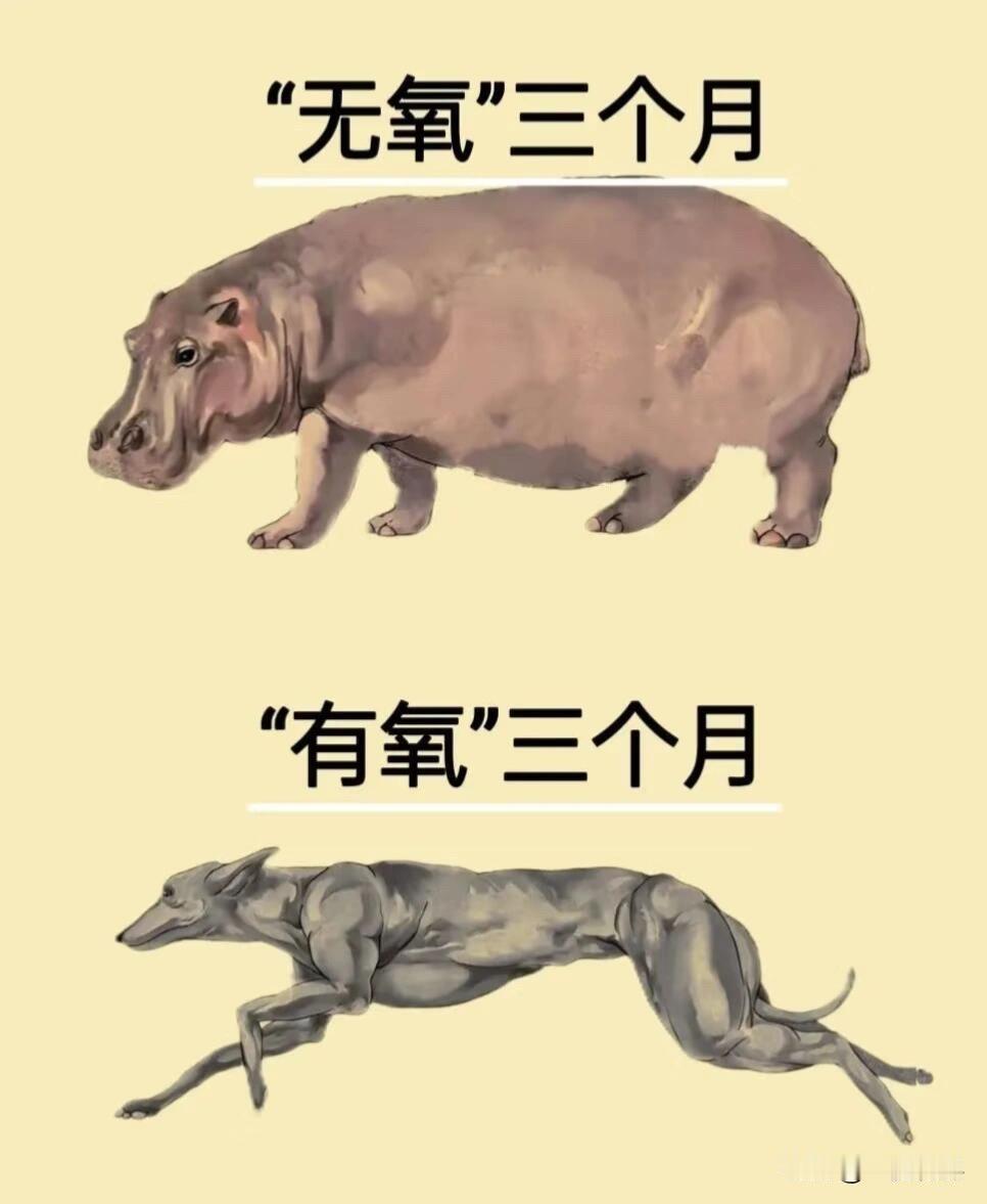 运动健身怎么选[奋斗][奋斗][奋斗]