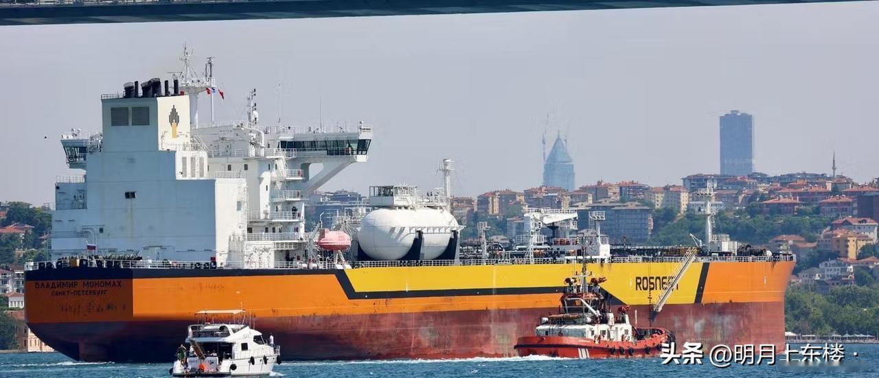 嘴上都是主义，底下全是生意。

一艘载有2.5万吨谷物的轮船刚刚从俄占乌的贝尔迪