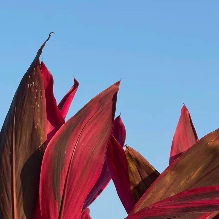 山东：执纪审查1人
 
4月1日，该省执纪审查1人，为烟台市原官员包华。
 
此