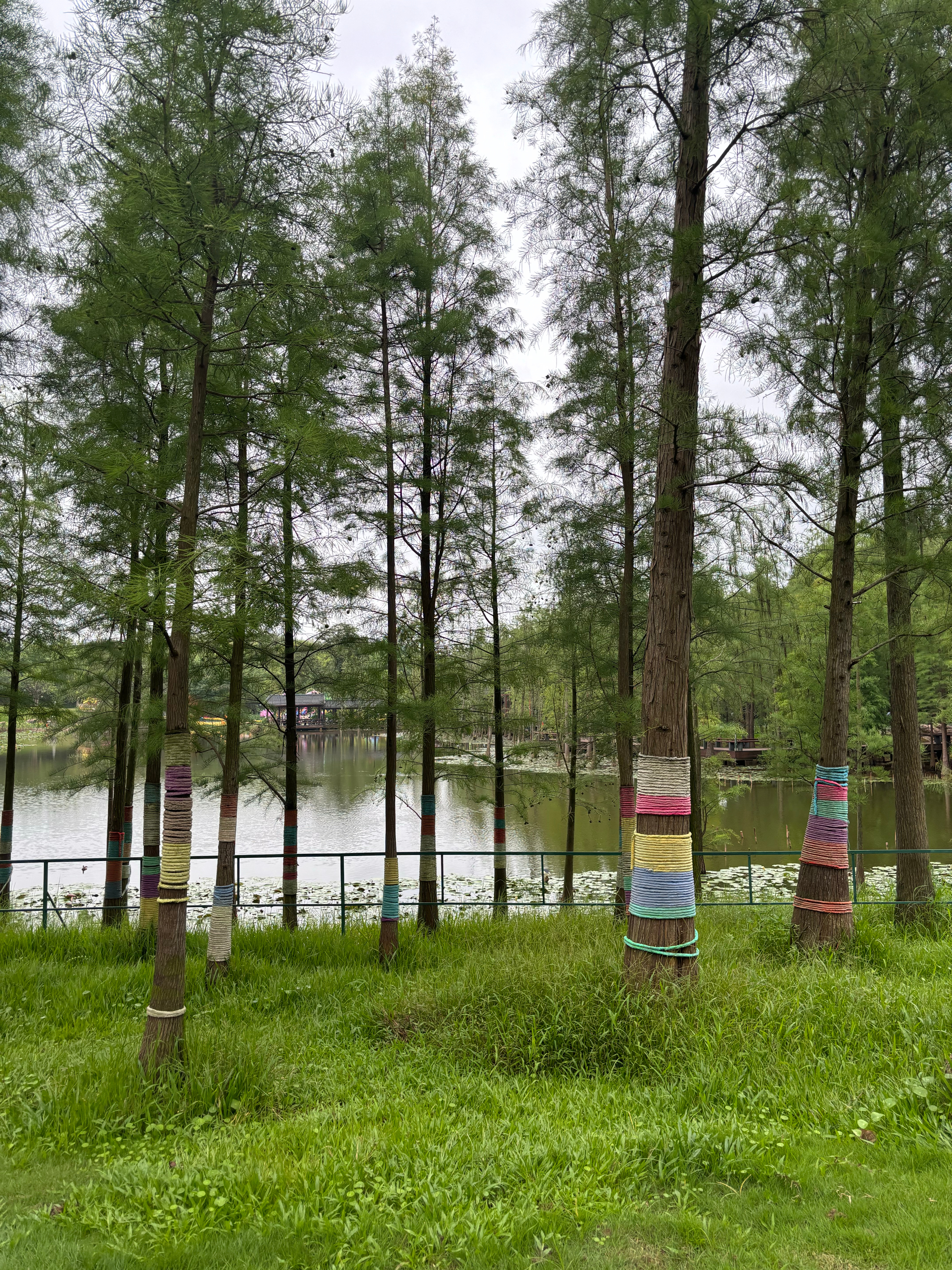 生活手记累到精神出走，脑子里乱七八糟什么都有，天马行空胡思乱想，毫无规律可言。一