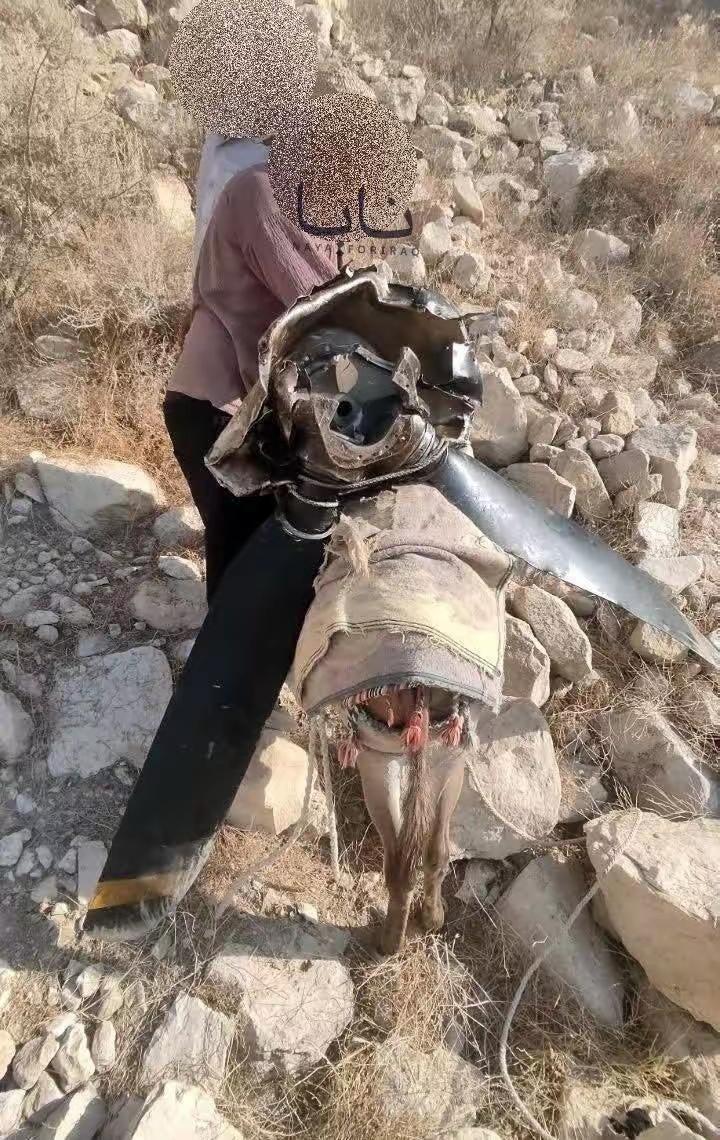 美军死神无人机接连坠毁，伊朗老百姓骑着毛驴，漫山遍野捡残骸卖破烂
 
美伊再次开