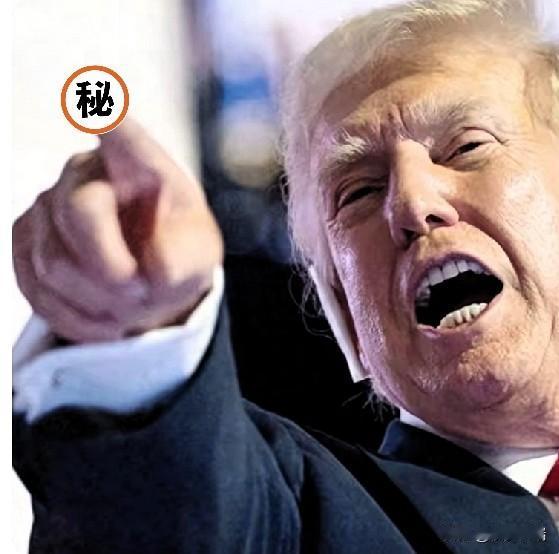 据NBC5月7日爆料，特朗普这回在中东算是踢到铁板了。

他搞了个霍尔木兹海峡“