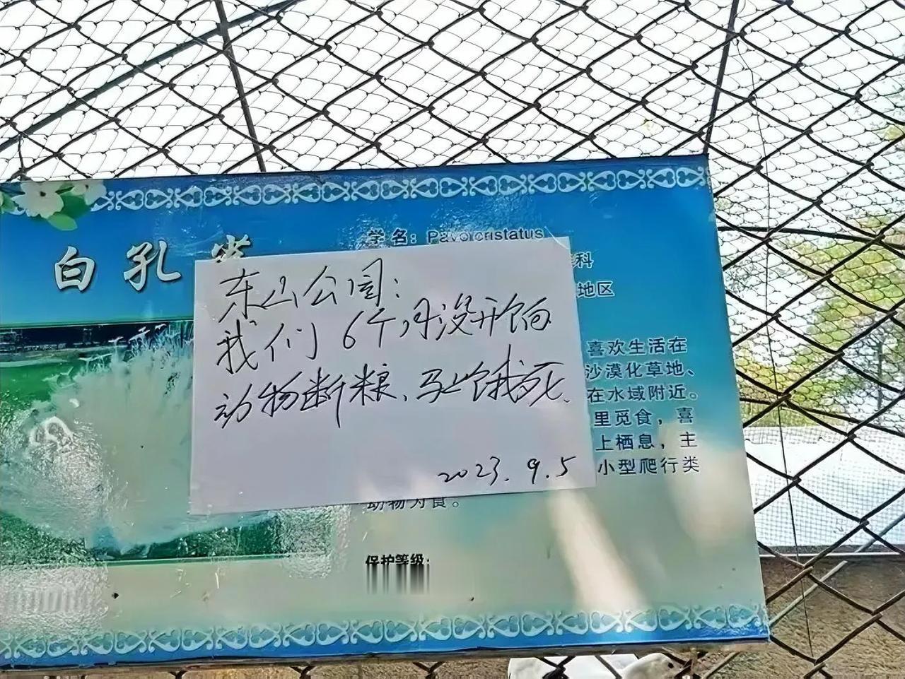 动物园断粮怎么办，实际情况与解决策略

近日，辽宁瓦房店市动物园的困境引发了社会