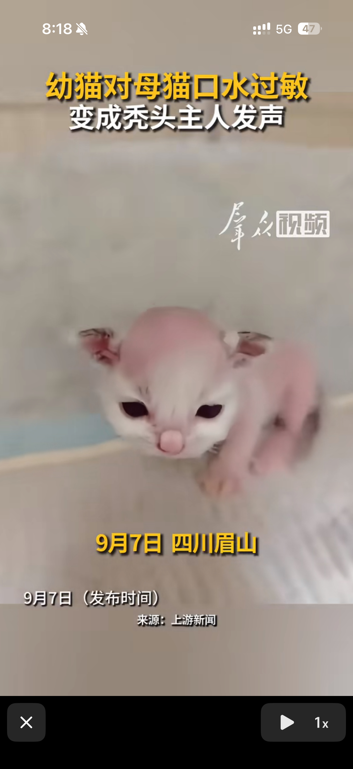 瑞瑞不肯出现的原因： ​​​