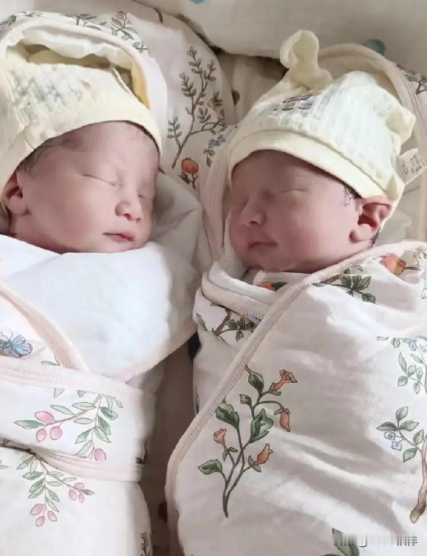 别再被“一儿一女一枝花”给忽悠了！在未来几年，曾经人人羡慕的儿女双全家庭，只会越