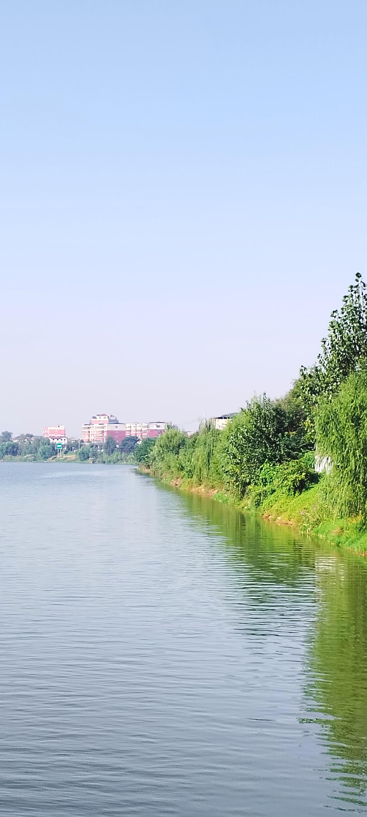 今天吃过早饭，就去了沈丘红闸湿地公园游玩，在游玩的途中，看到沙颍河红闸湿地公园两