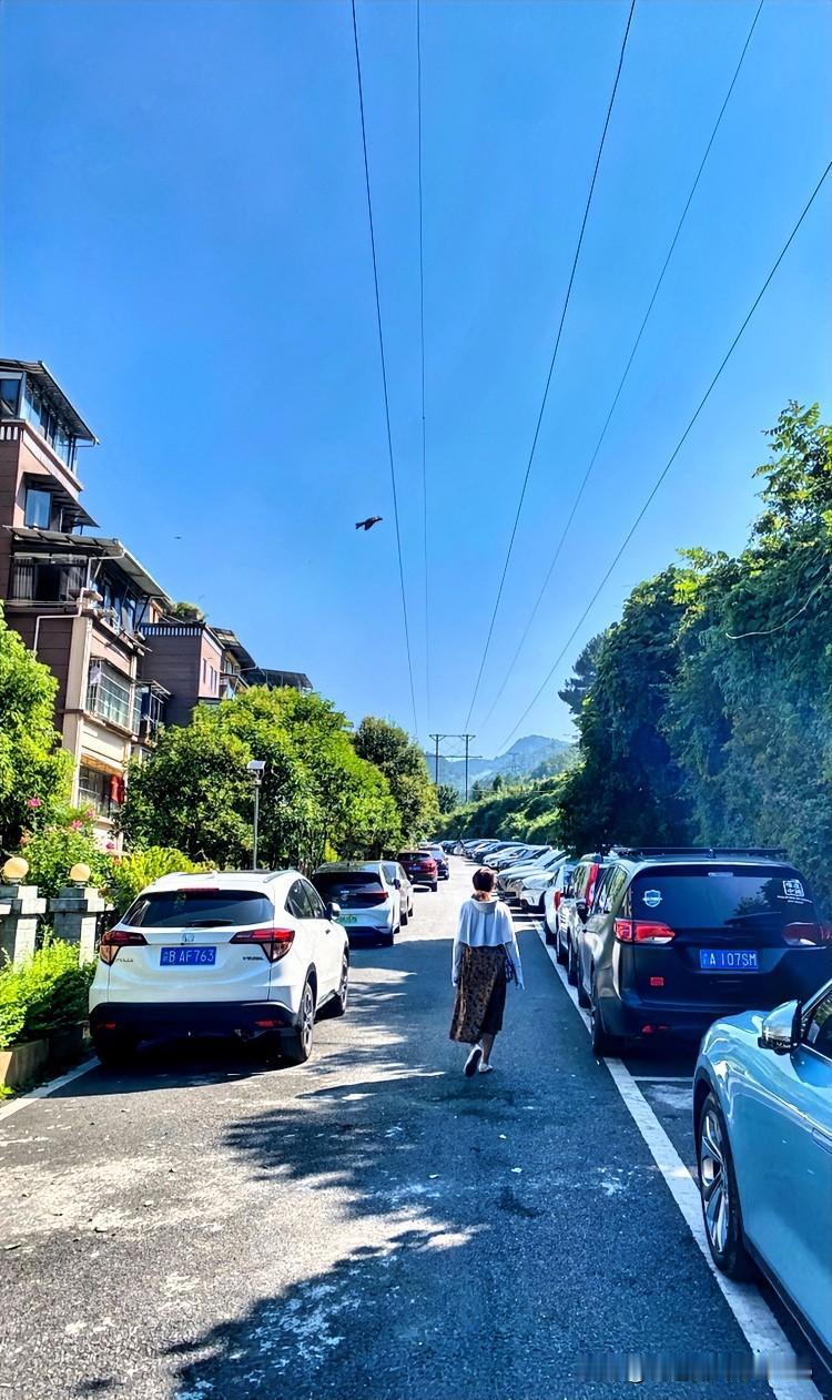 今天是八月三号，闰六月初十，周日。

下午三点的时候，我身处贵州海拔1240米的