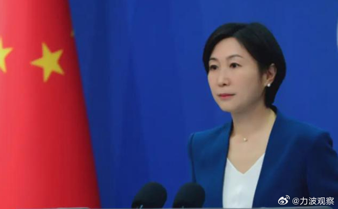 中方提出严正交涉后，新加坡终于意识到问题的严重性，迅速后悔并做出改变了。据有关报