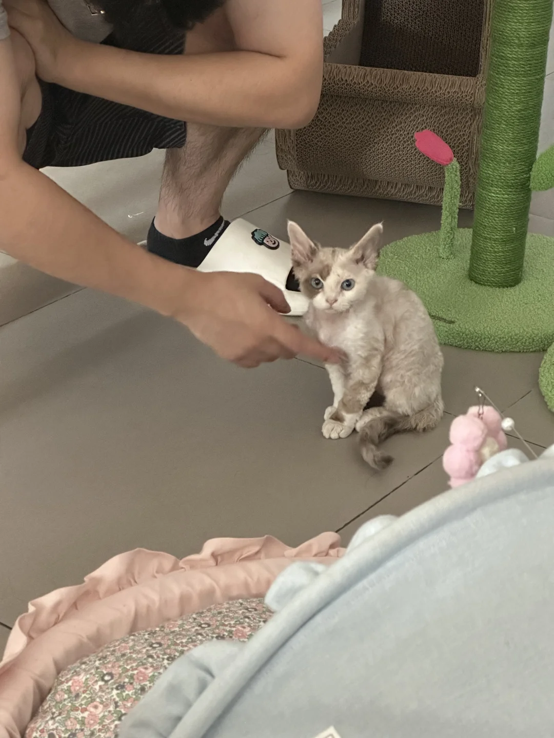 小时候长这样🥺