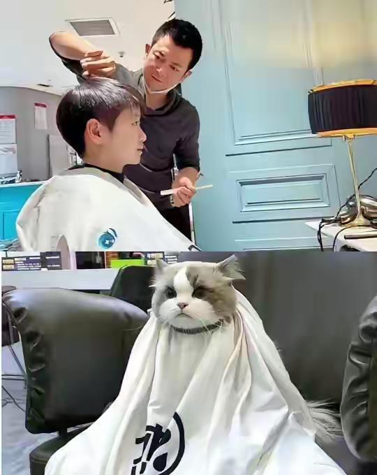 理发师好幸福能给小豆包剪头发[赞]