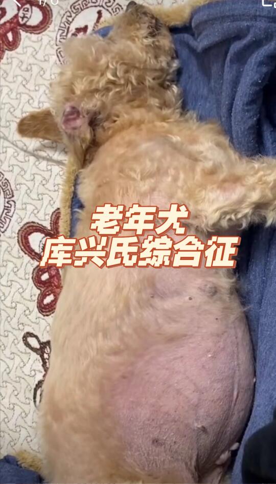 有时候真的可以返老还童！！！