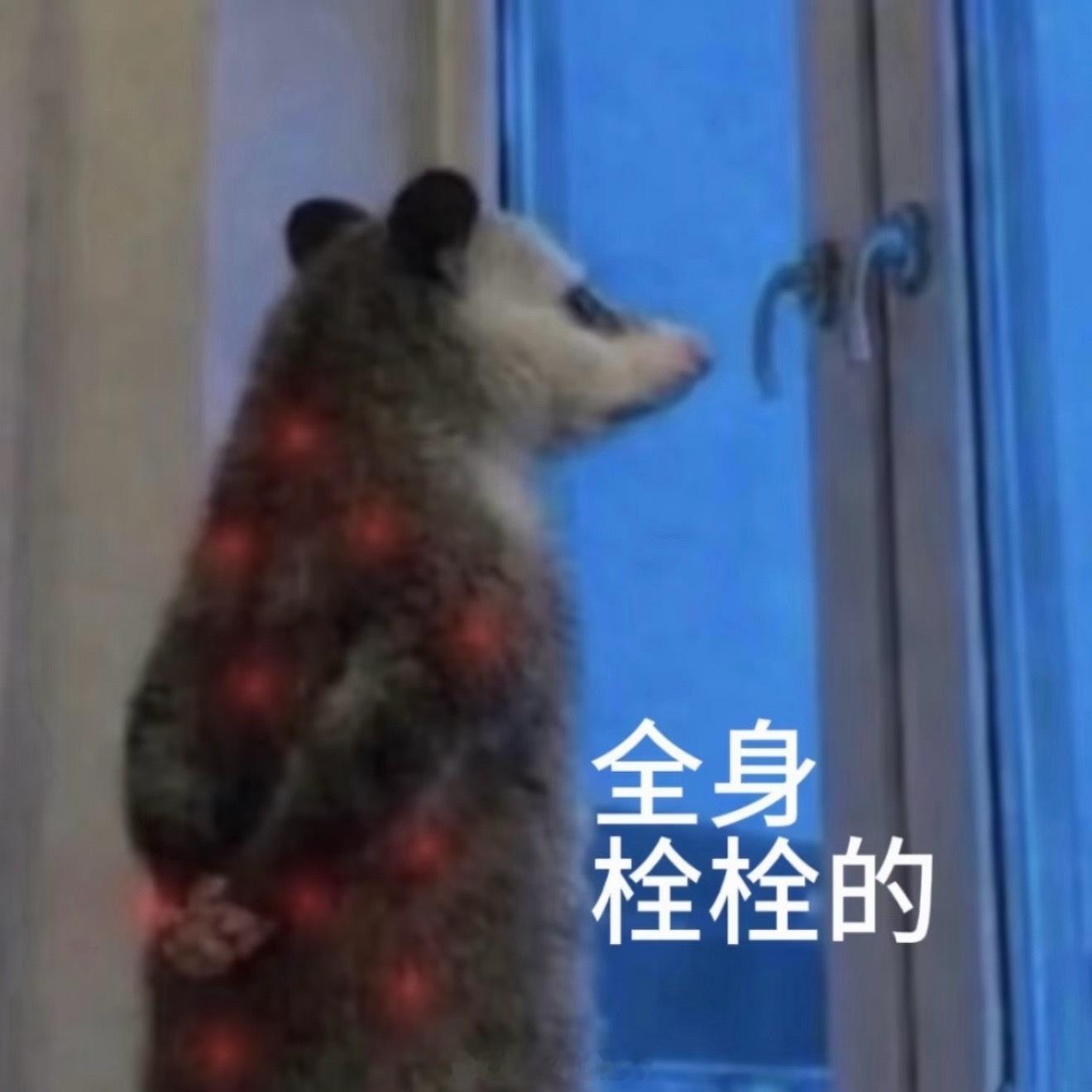 好吧 有氧拳击 你真的很爽 