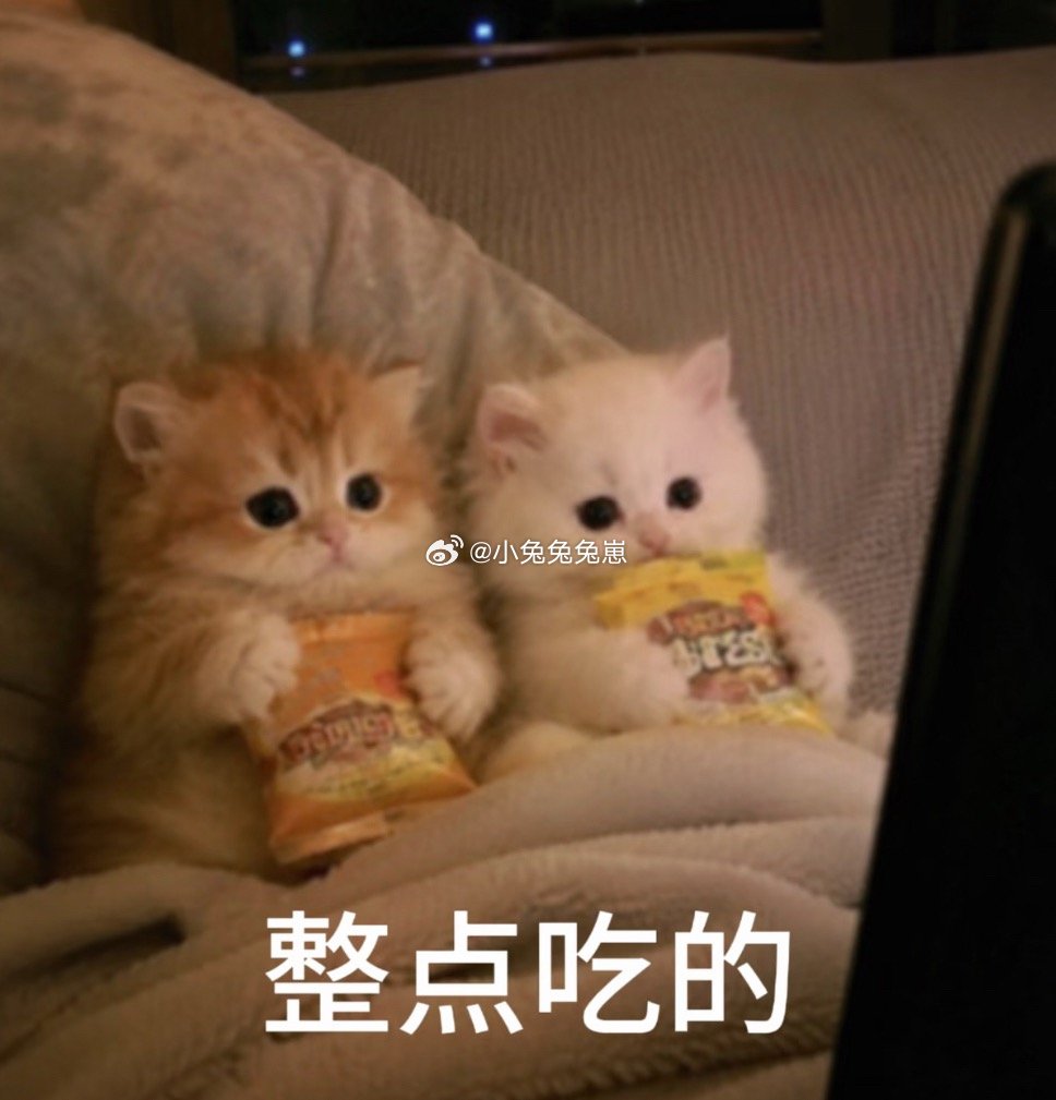 比热怒症更可怕的是我有饿怒症我回想了一下好像每次我朝🐺发脾气都是因为没有吃到饭