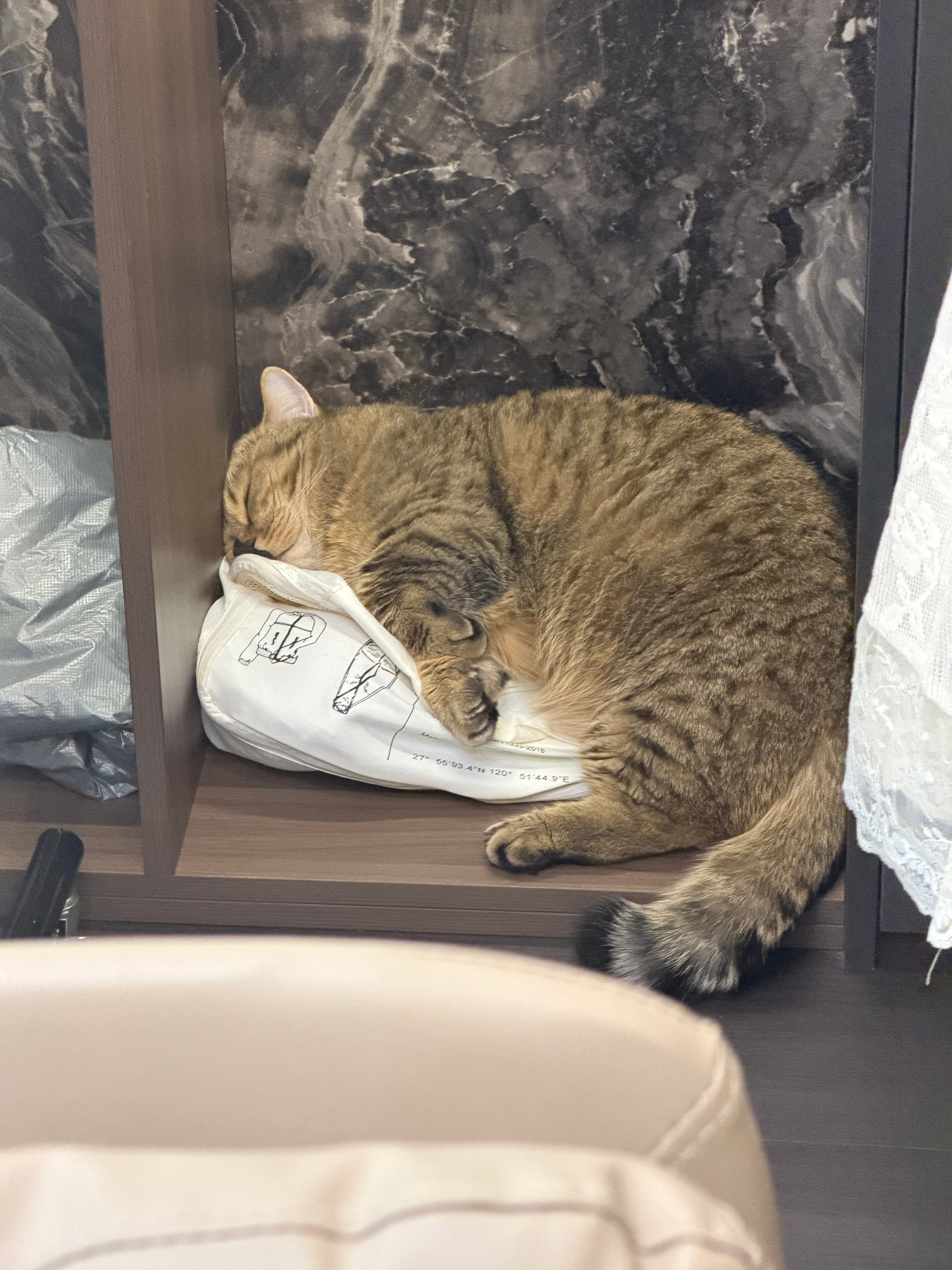 耶耶耶 下一次开箱 特别期待！等于开盲盒！衣服鞋子都很好看我的闺蜜姐妹们 一起开