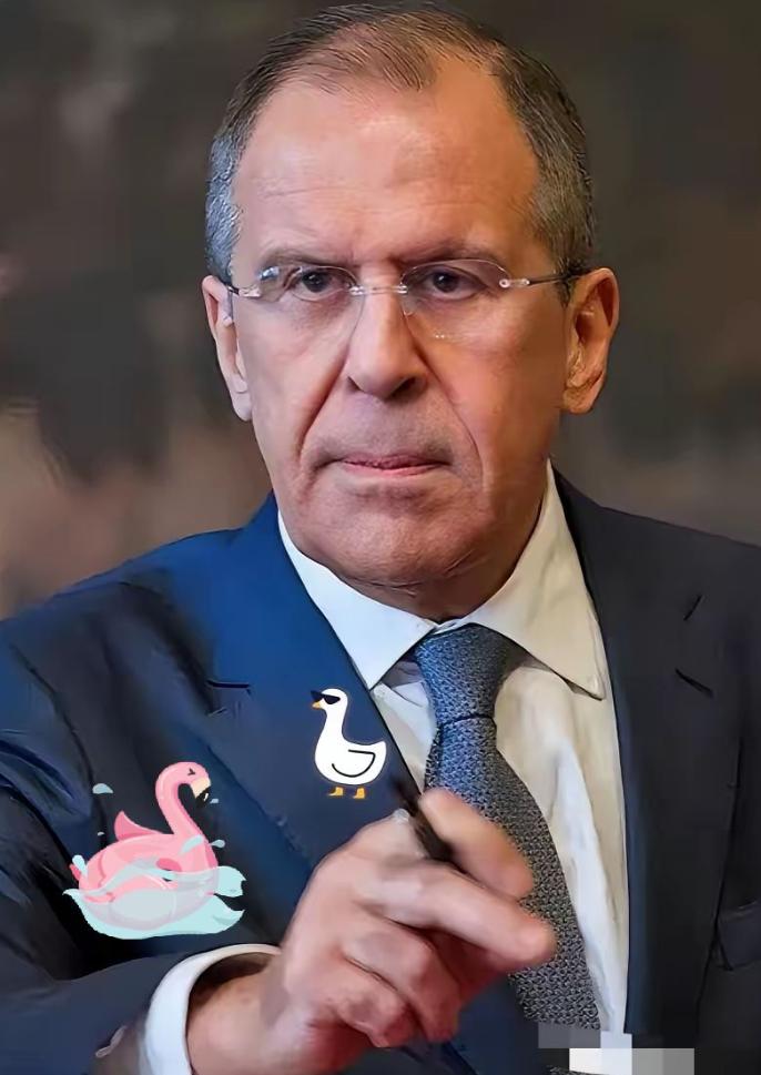 快报，快报
据央视新闻12月20日报道
俄罗斯外交部长拉夫罗夫，突然对外放话了。