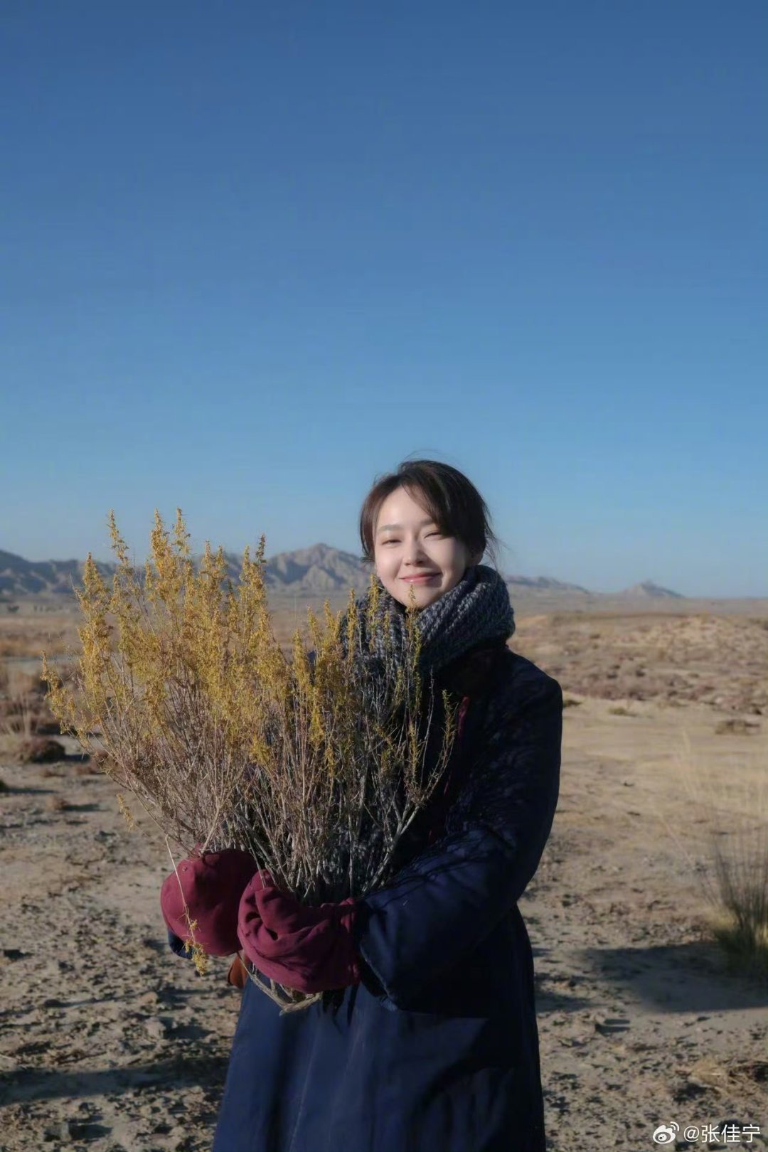 张佳宁演的女学生被流氓吓出highc 张佳宁这一声尖叫直接飙到了HighC！张丽