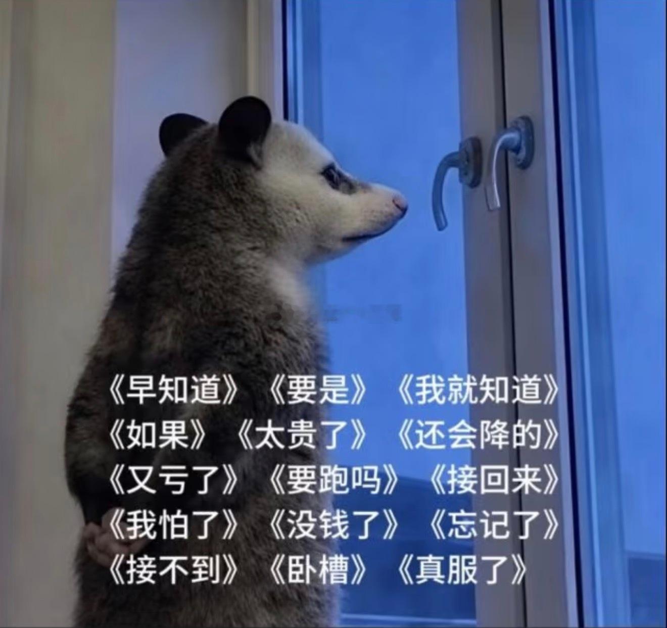 早上好童粉们，今日心绪比较沉重，谁知散户心中苦！昨天的行情绝对是颠覆了很多人的想