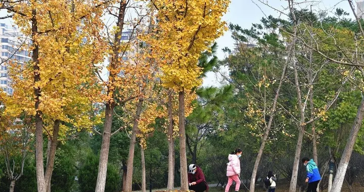 |畅游绿道，享受冬日暖阳