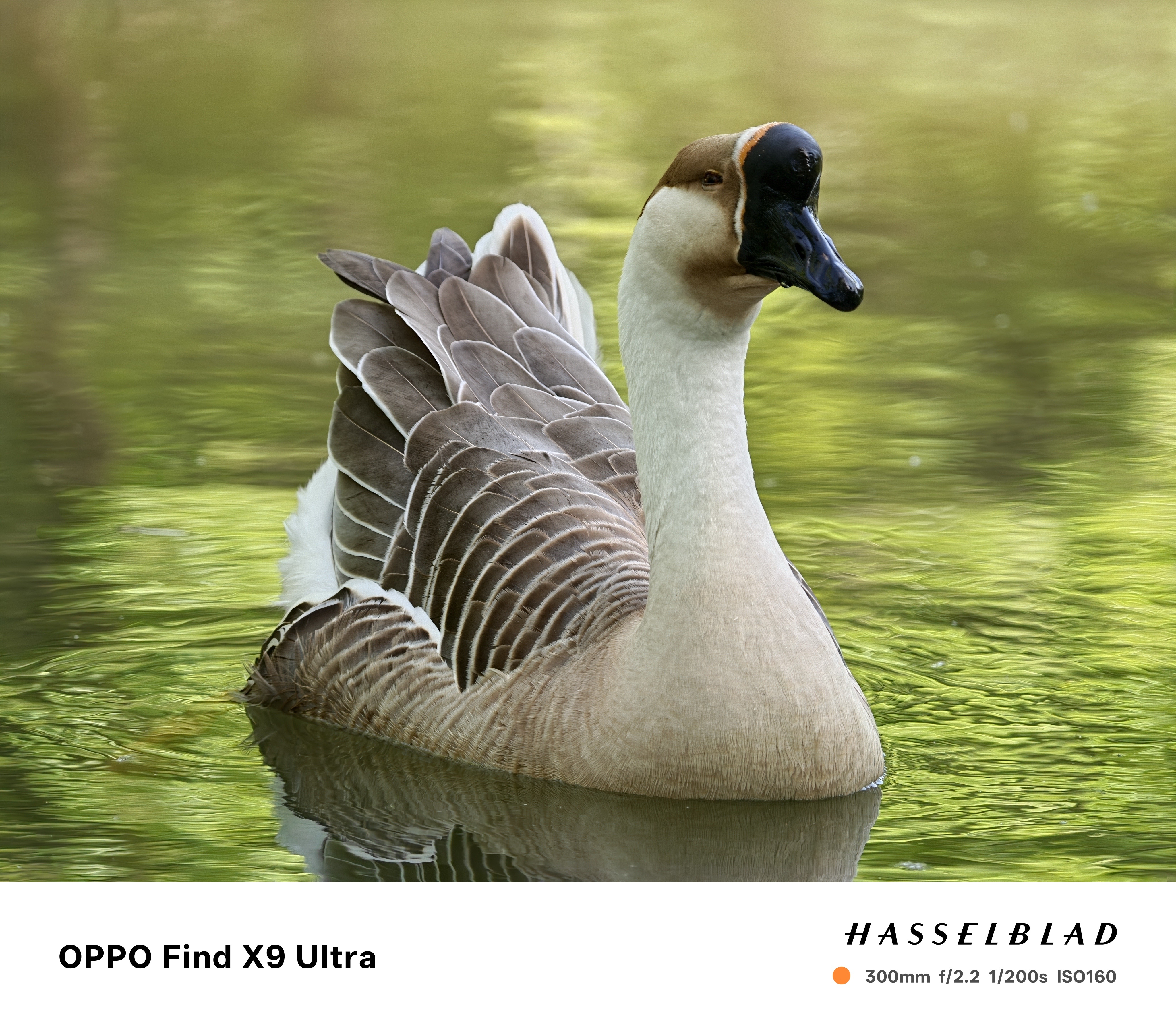 早上好，一顿嘎嘎乱拍 