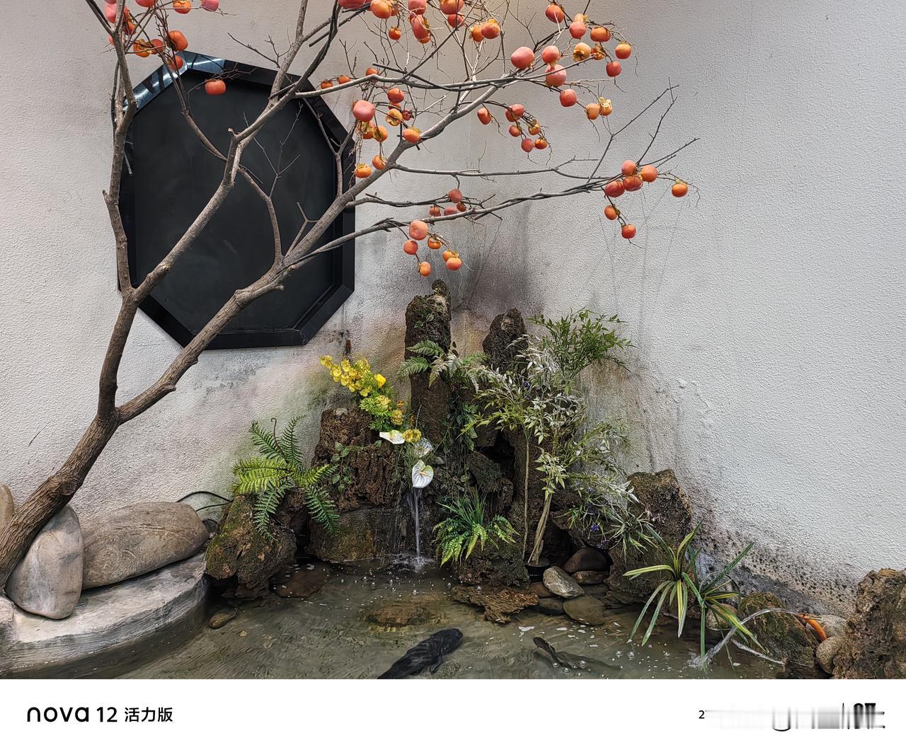 若心智不足以明辨世事，
便以温柔善意善待世间万象。
聪慧之本在于渡人利他，
悲悯