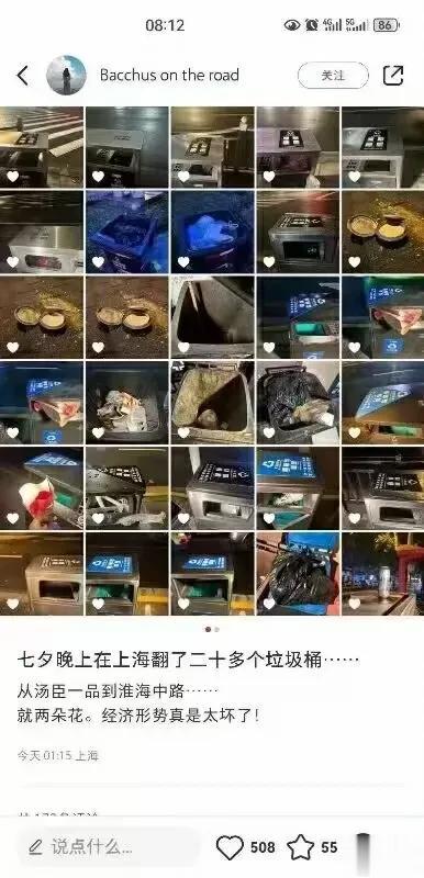 七夕晚上，在上海翻了二十多个垃圾桶，从汤城一品到淮海路 ～ 只捡到两朵花 ～

