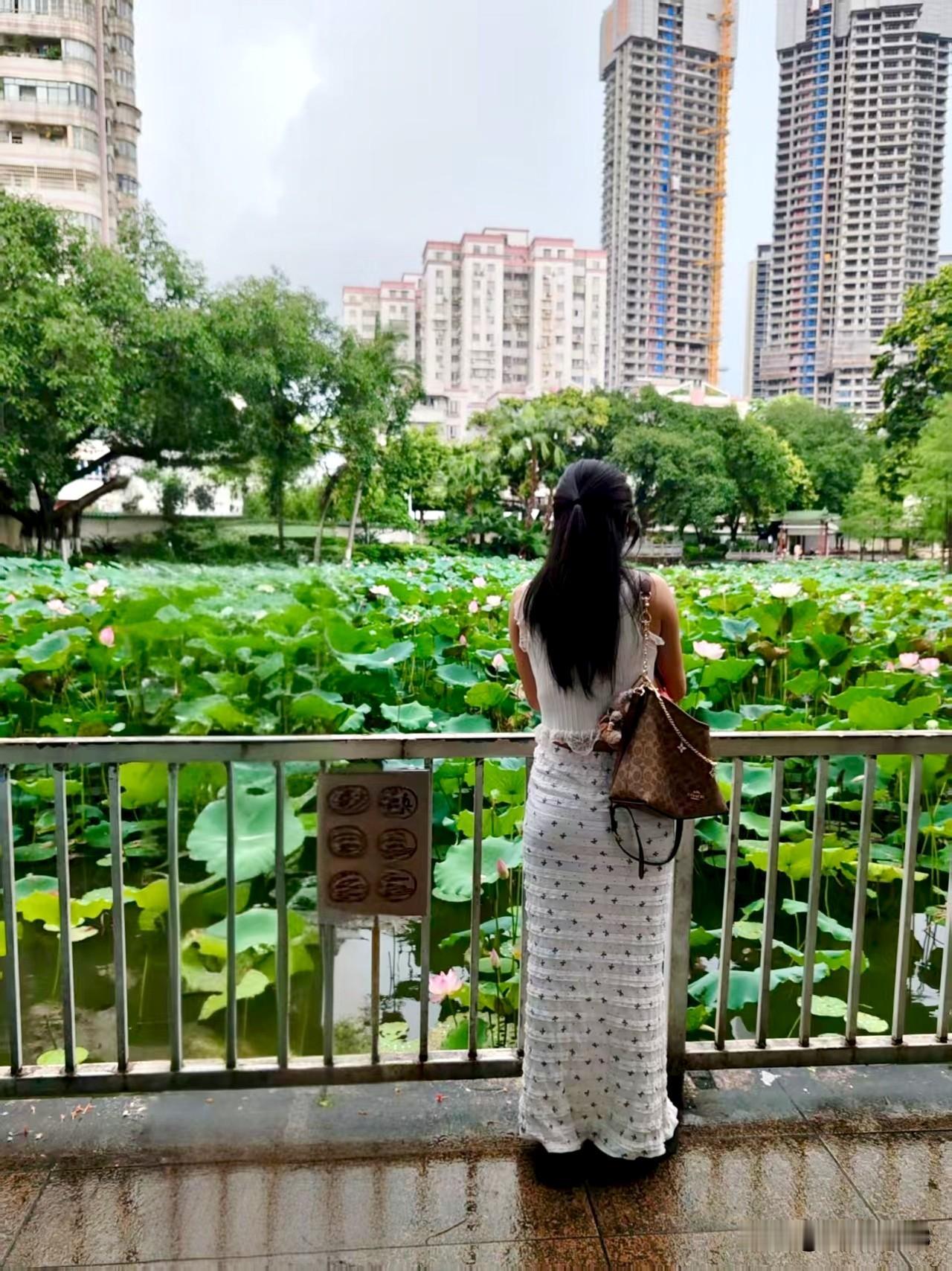 广州黄埔东苑公园（免费）
地址：
广州市黄埔区港湾路661号
交通（仅供参考）：