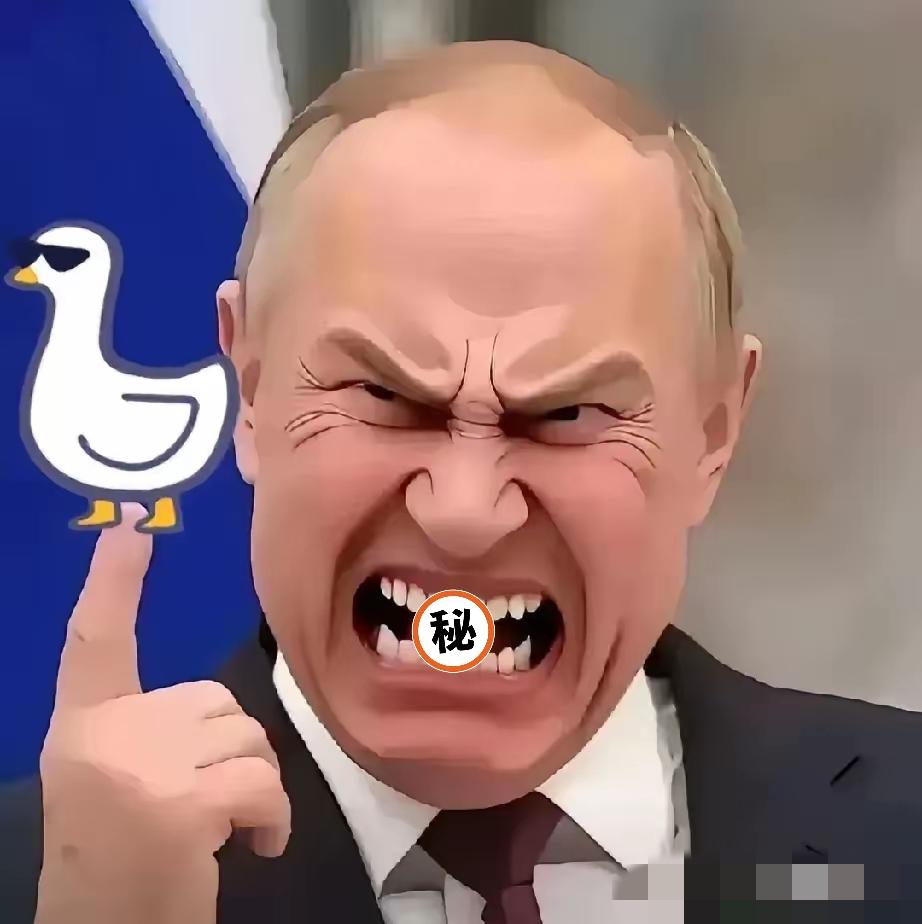 普京亲授勋章！俄两款“王牌武器”曝光，为何能保21世纪安全？
 
2025年11