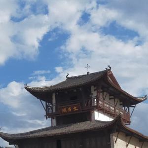 非翔非