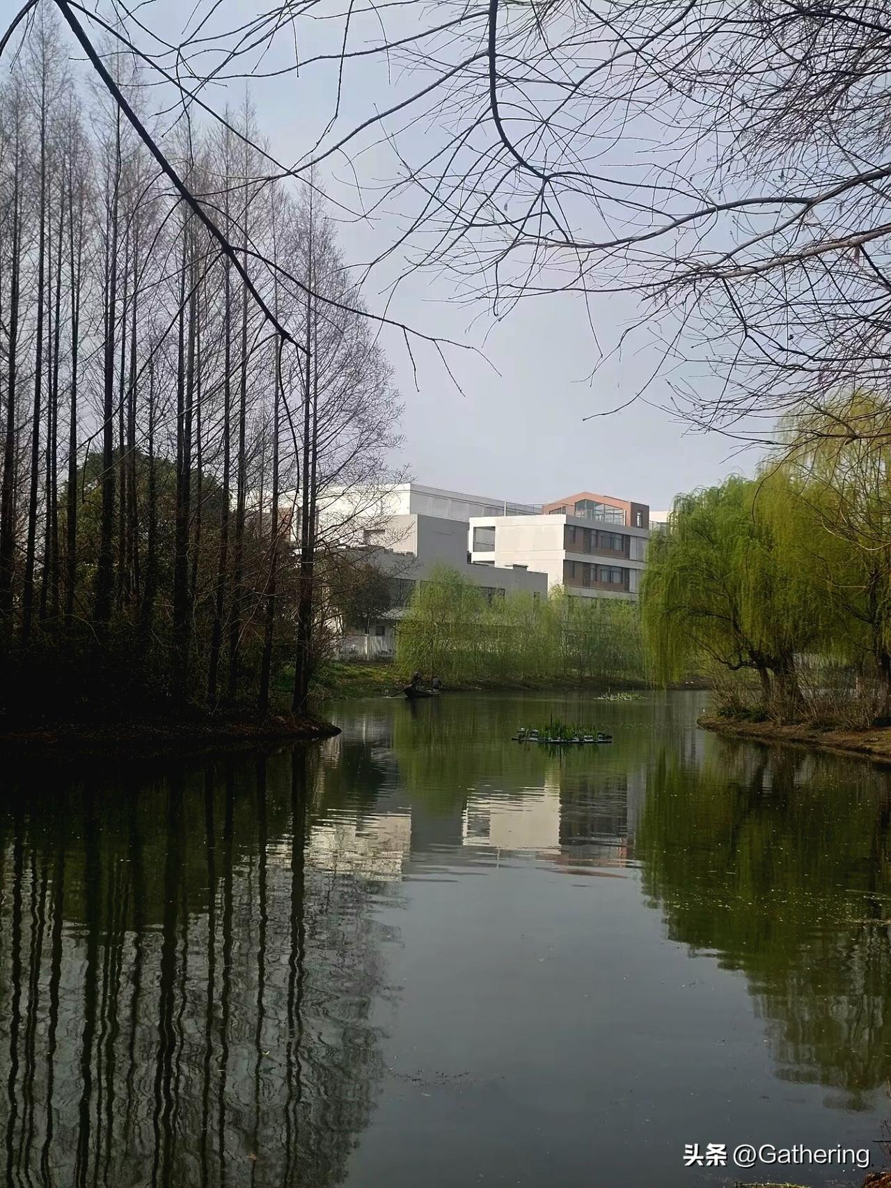 我之前聊过日本这个民族特别的拧巴，咱们今天就来聊聊日本这个民族的海军建设！
（第