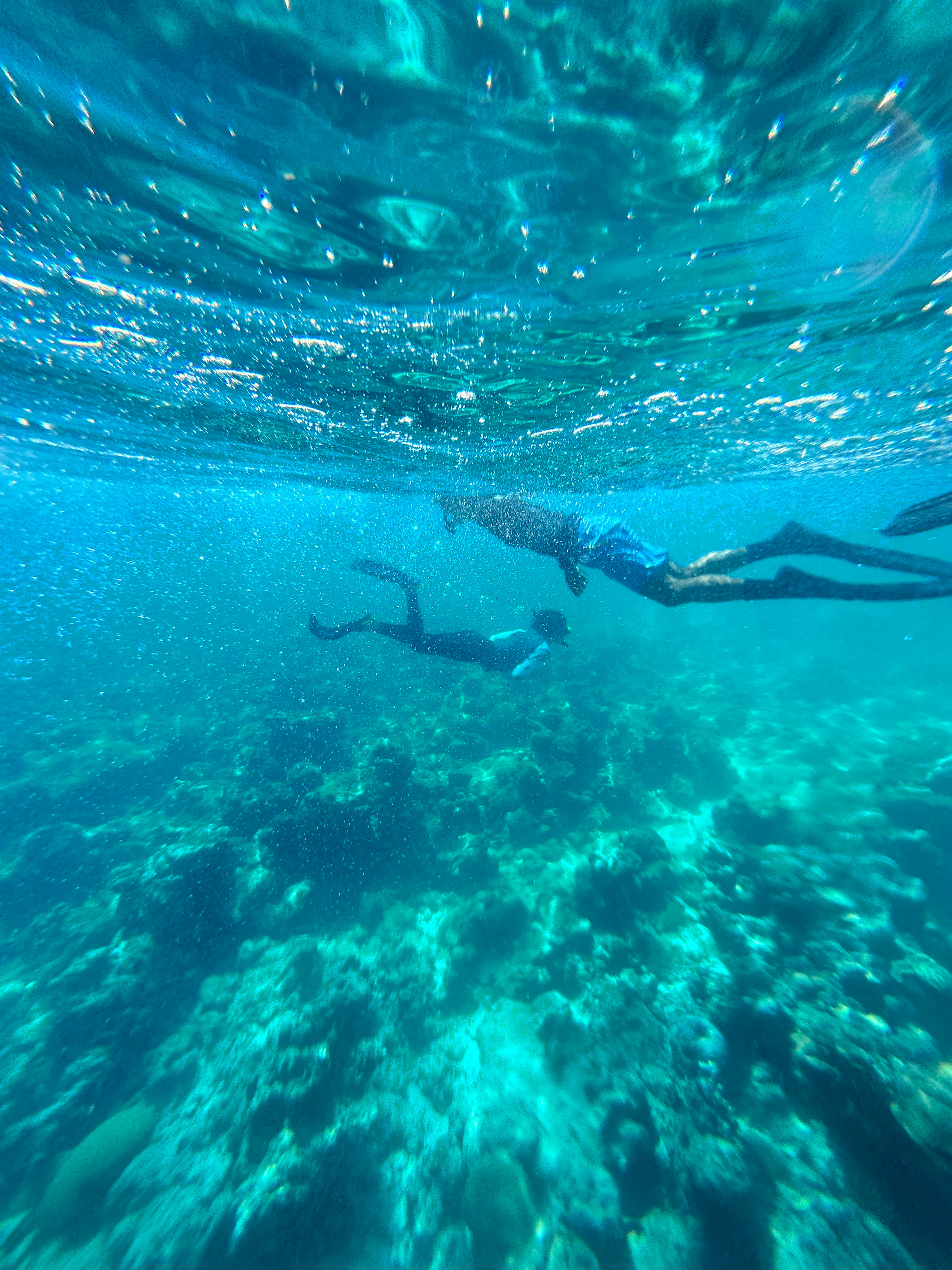 🤿今天是浮潜的一天！ 上次浮潜还是四年前！ 我们在马尔代夫艾美岛的DIVE C