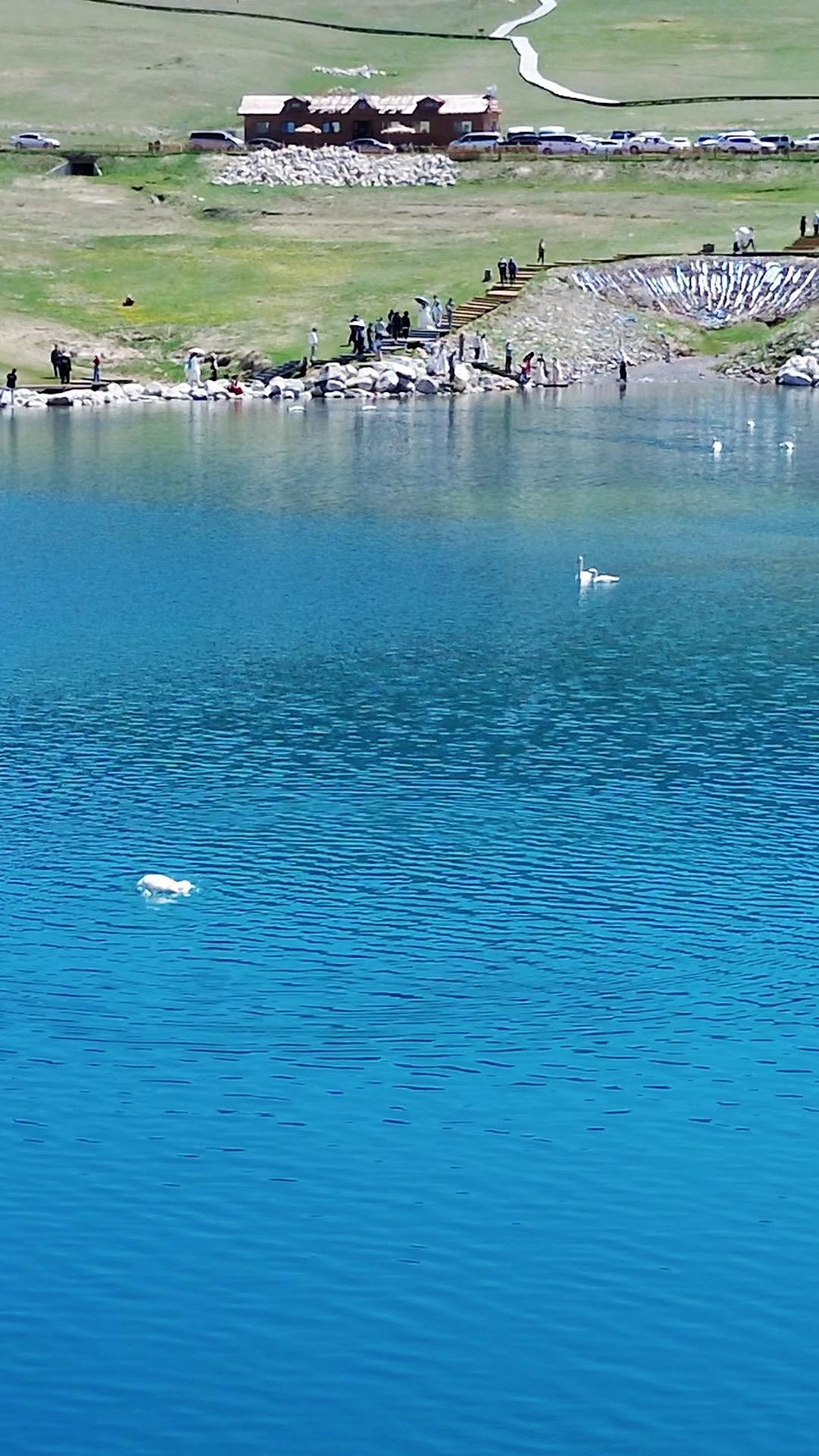 你是不是奇怪，为何你逐渐丧失了与父母交流的欲望？ 你感觉与他们的隔阂日...