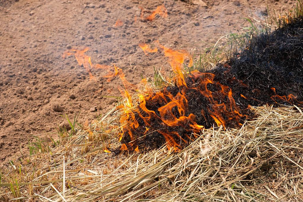 这可真是好心办了坏事！某农村，75岁的老太太给小叔子家看家，在园子里烧荒。结果因