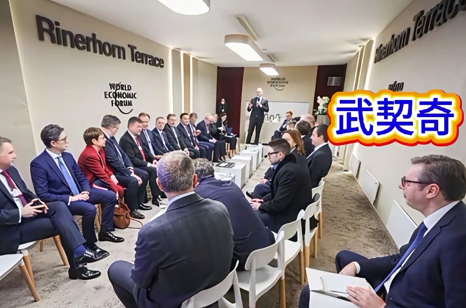 武契奇总统和欧洲的一些领导人开会，独自一个人坐在第2排。 