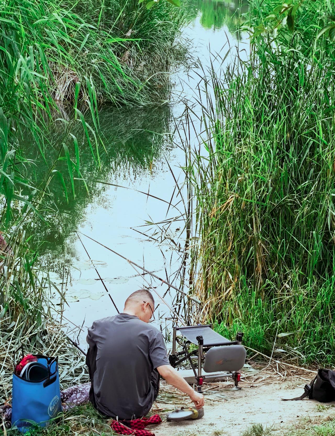 阳光穿过芦苇的缝隙，在水面撒下了一片碎金，一个人，一片水，把日子过成了慢镜头。
