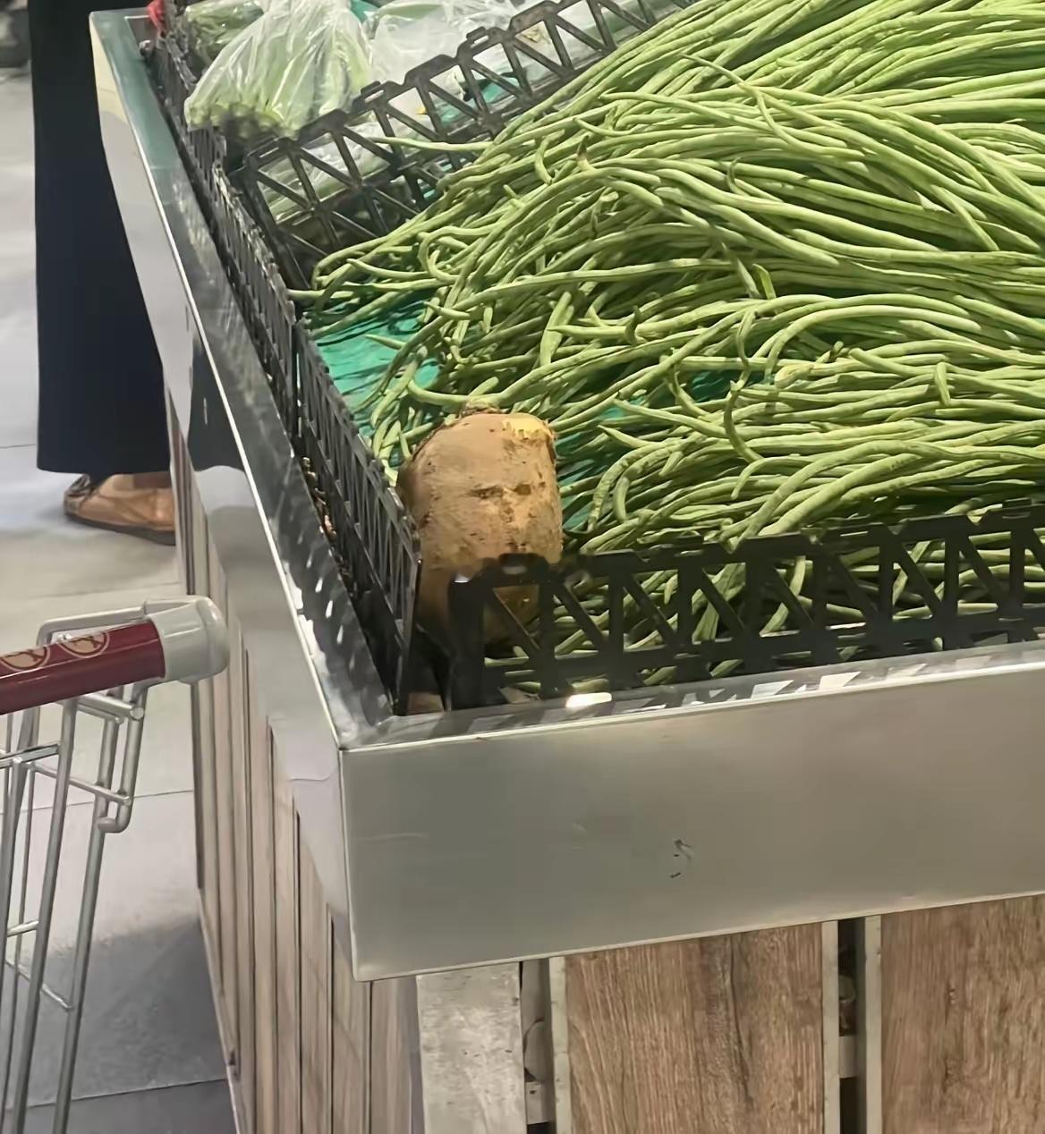 竟然在一颗土豆上面看到了特朗普的影子…