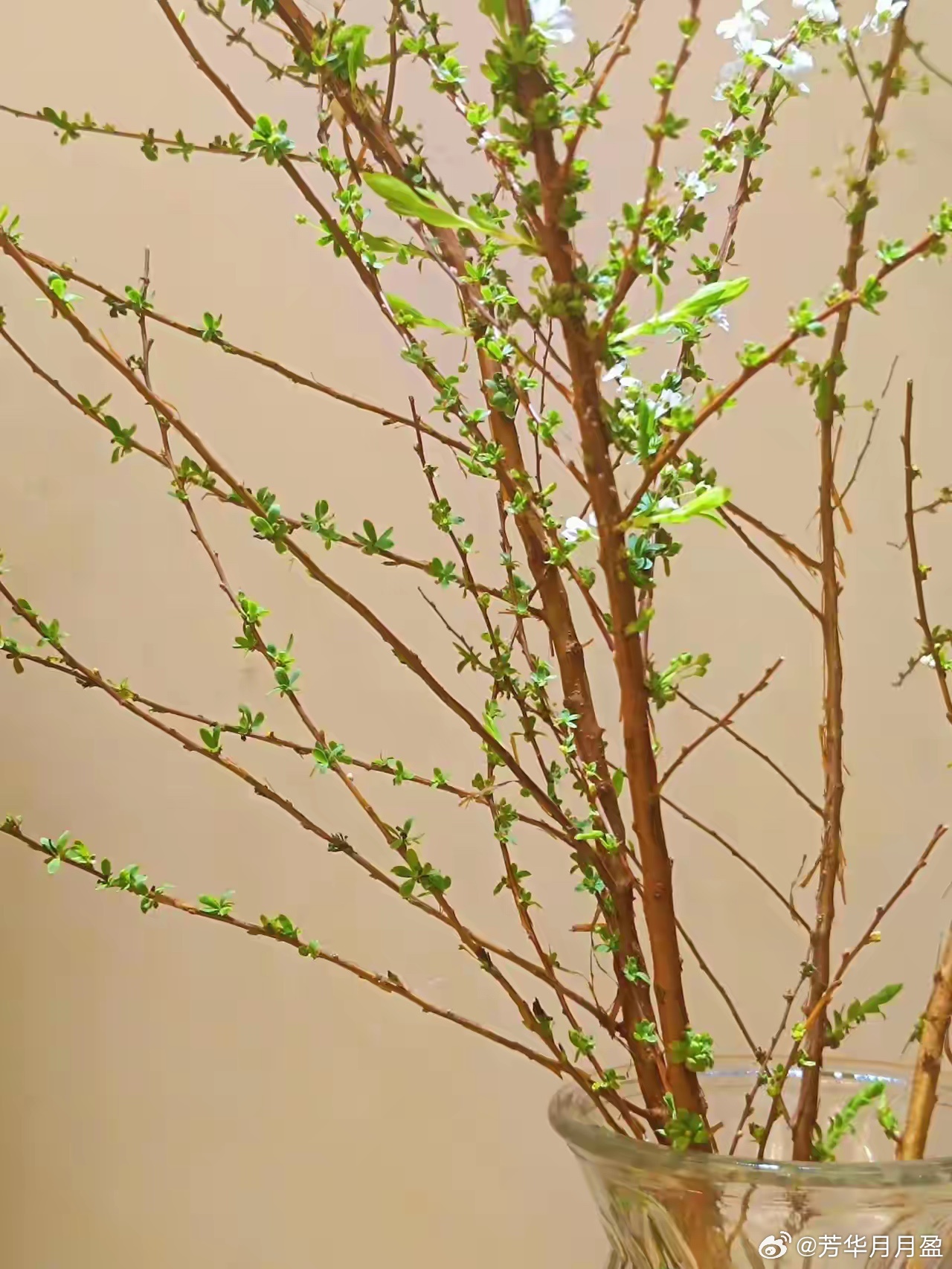 不要焦虑，就现在这个大环境，大多数人都赚不到钱，但凡有点上进心的，都负债累累。有