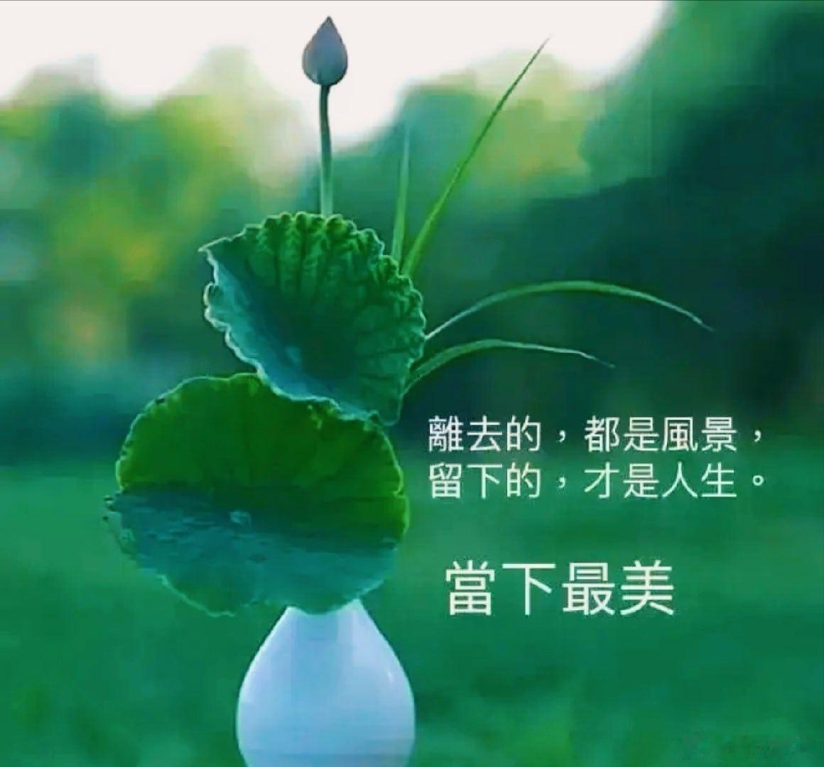 别让昨天的雨，淋湿今天的你。