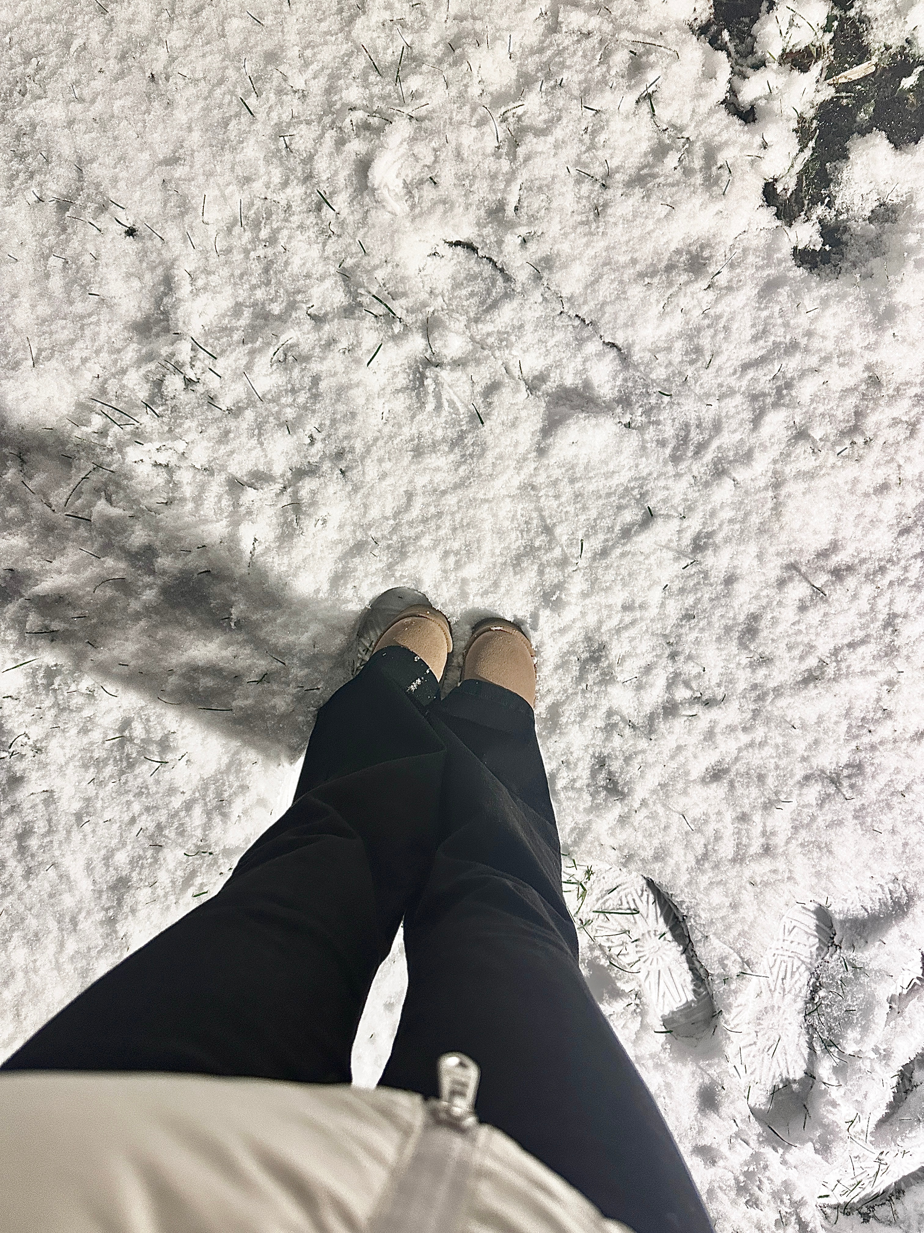 💭whenwintercomes 