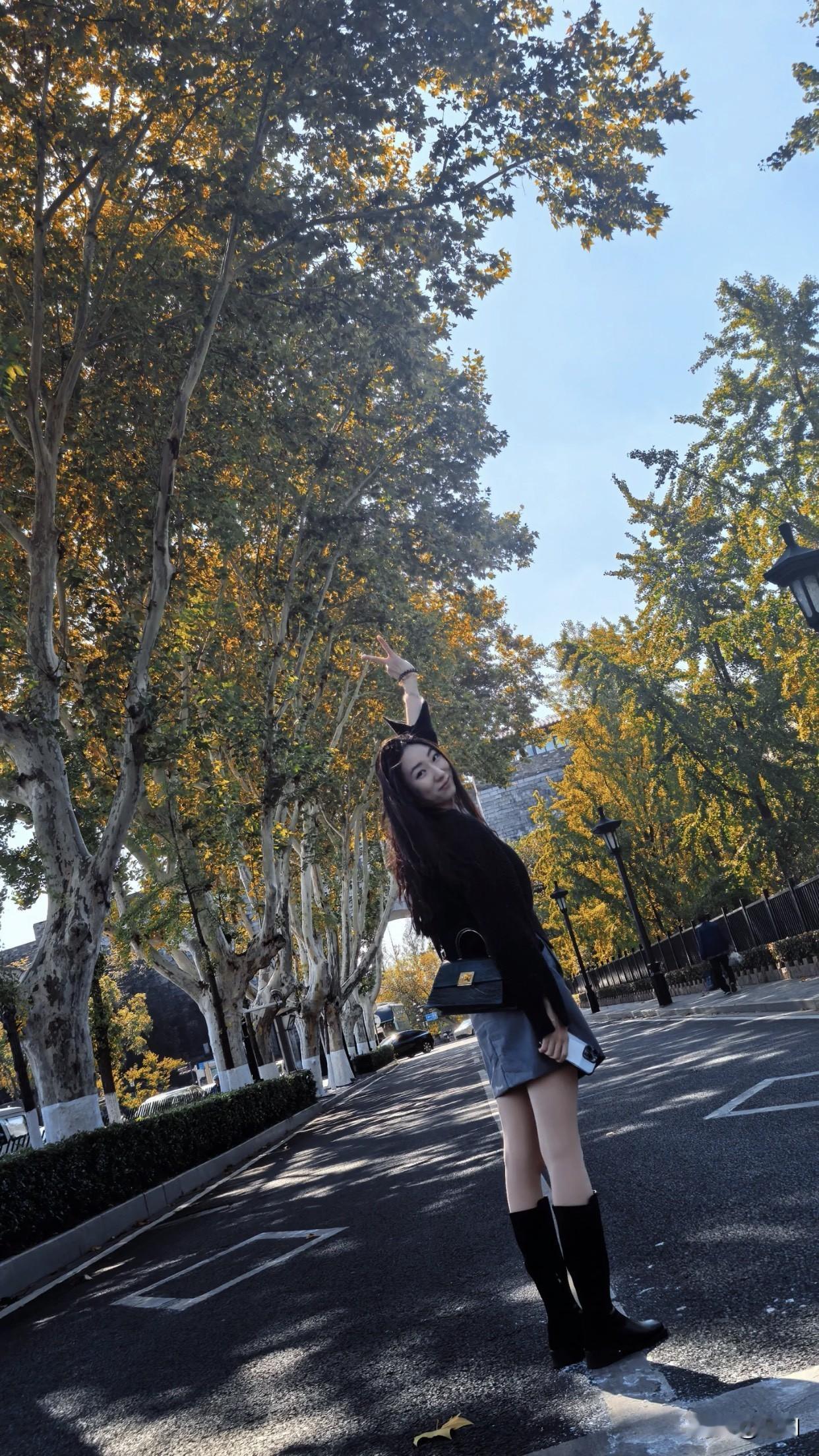 分享一张美丽的风景照秋日漫步，树影婆娑，阳光洒落，自在悠然。