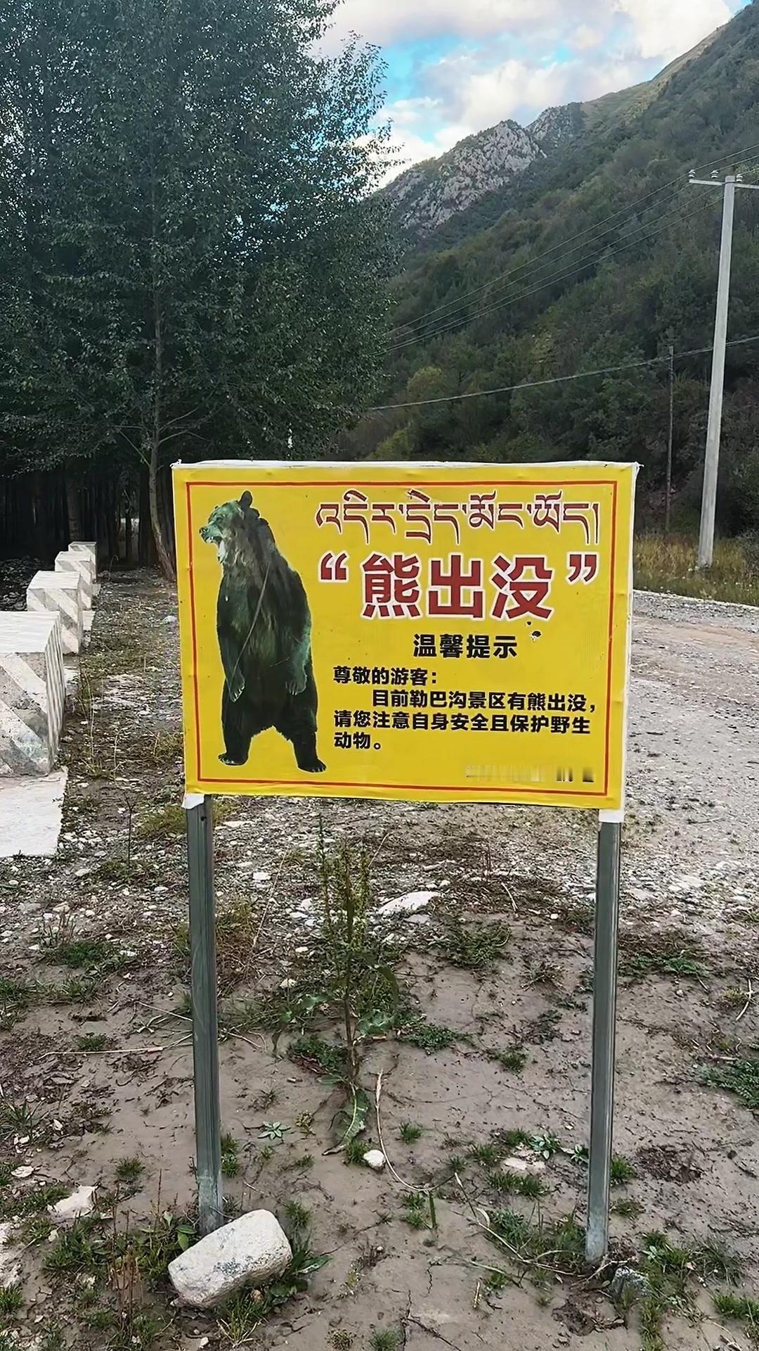 🌳跟着杨紫的生命树打卡祖国山河，导航推荐的路线真的太绝了！一路风景超治愈，每处