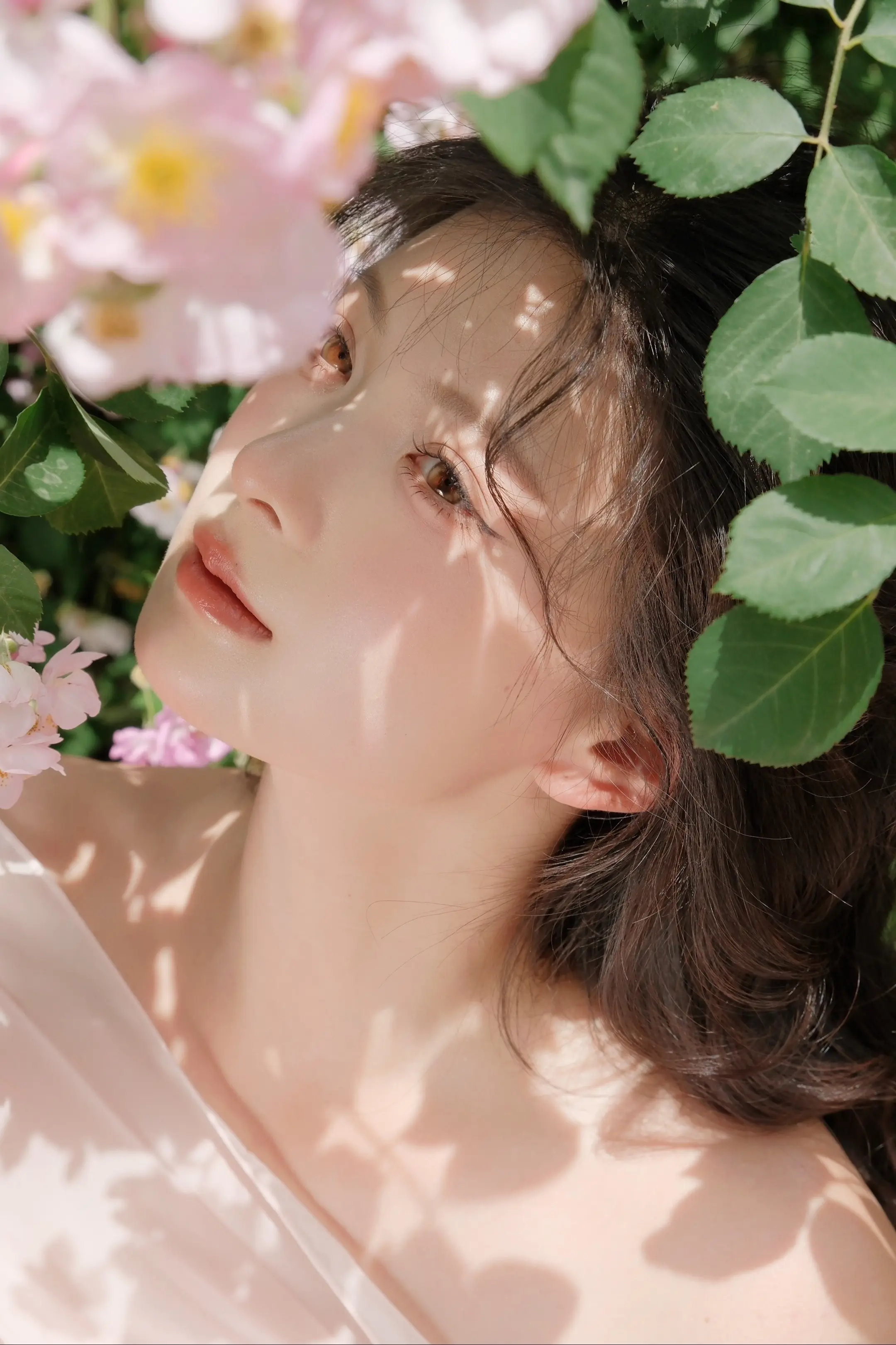 ℛℴ𝓈ℯ 𝒢𝒶𝓇𝒹ℯ𝓃🥀。