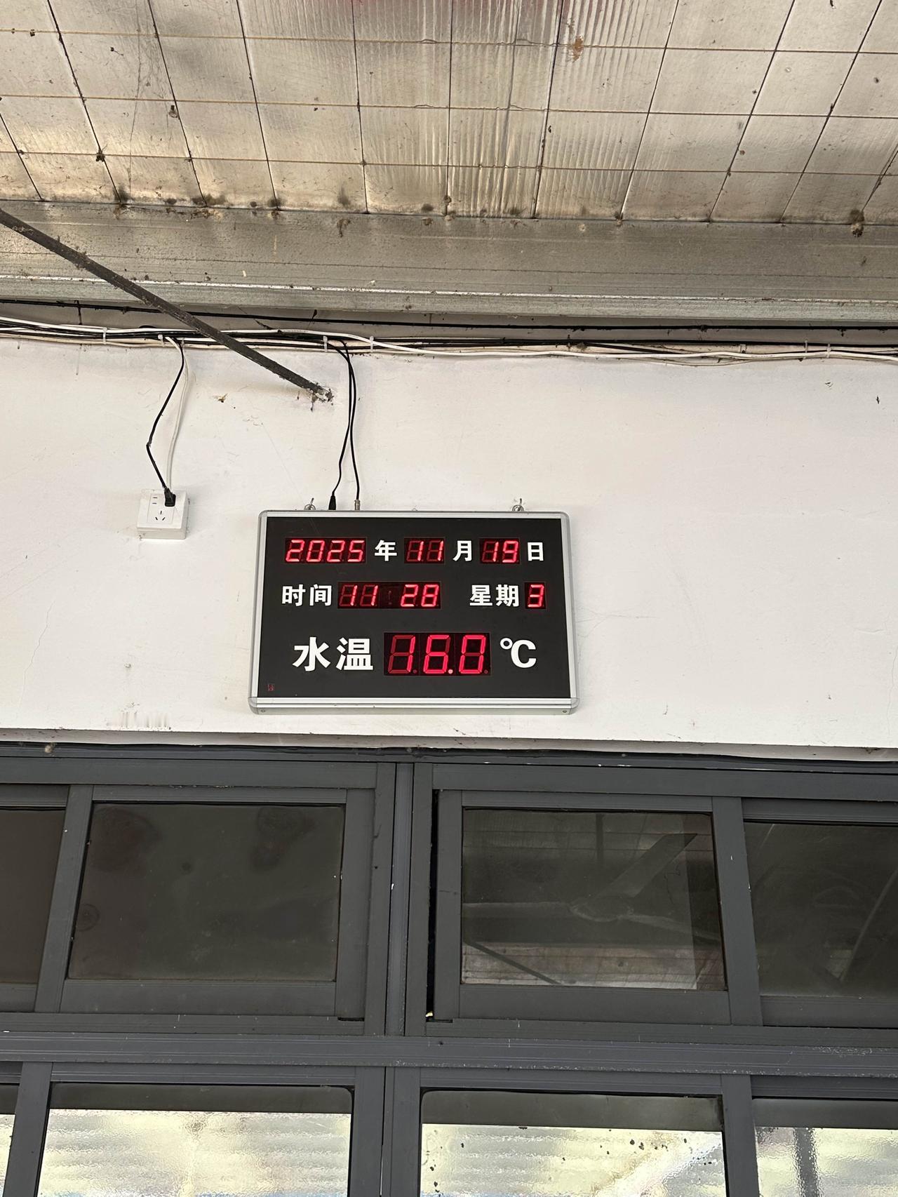 4天没冬泳，结果游完才弄懂，人最大的敌人是自己！
上周五降温后就没敢下水游泳，今