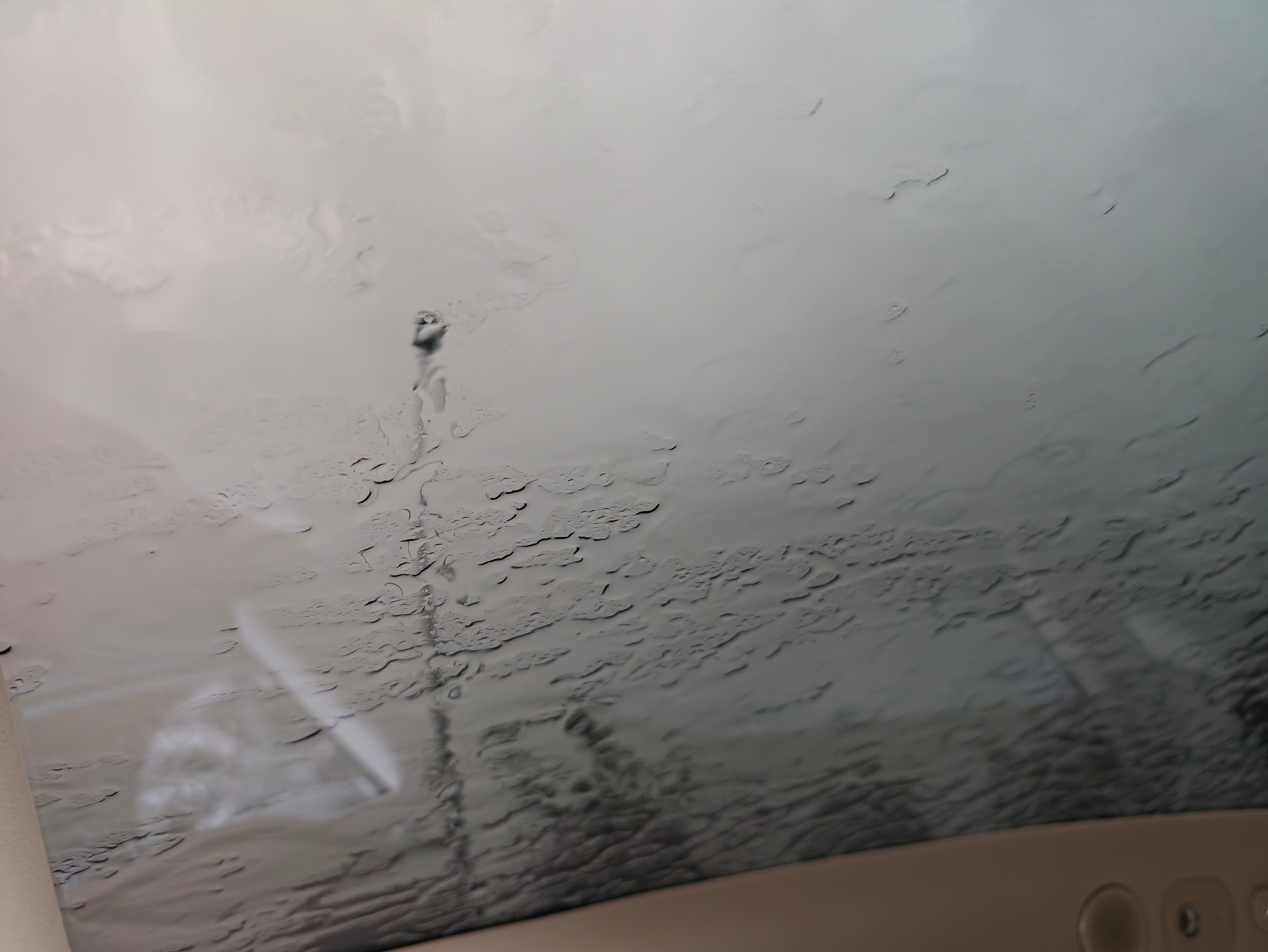 白海豚提前登陆外面的雨又密又急，风也很大，感觉比之前的巴威更猛！但是你们这些台风
