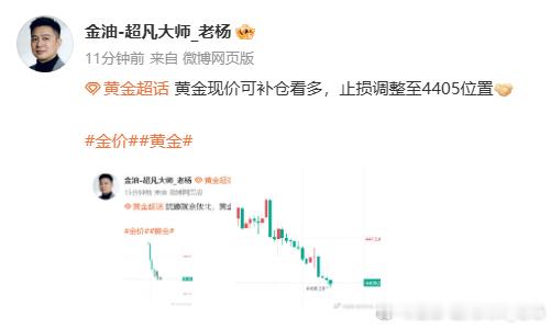 黄金 唉，这波亏大发了，该撑住的位置一个都没撑住 看的心里难受，不过损了就是损了