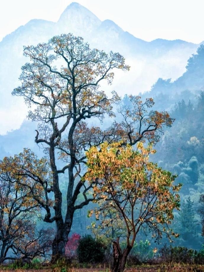 又会有人问，如何抓住确认启动？去年夏季秋季带你们做过了，创新药、港股证券、稀土有