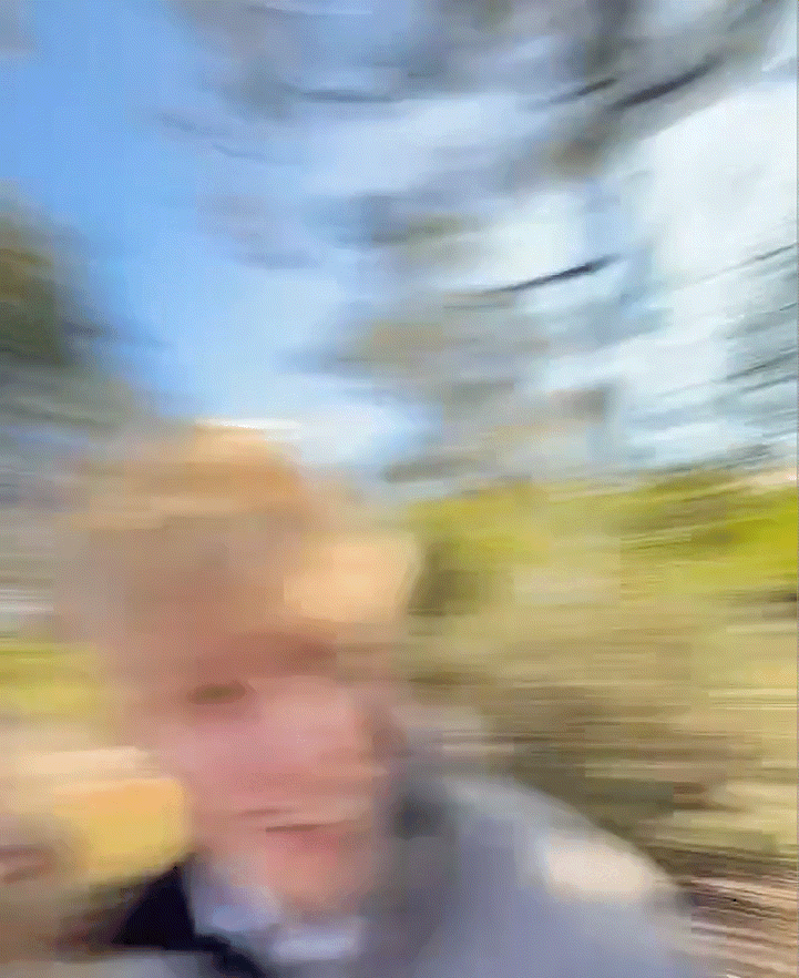 狗猫最高 