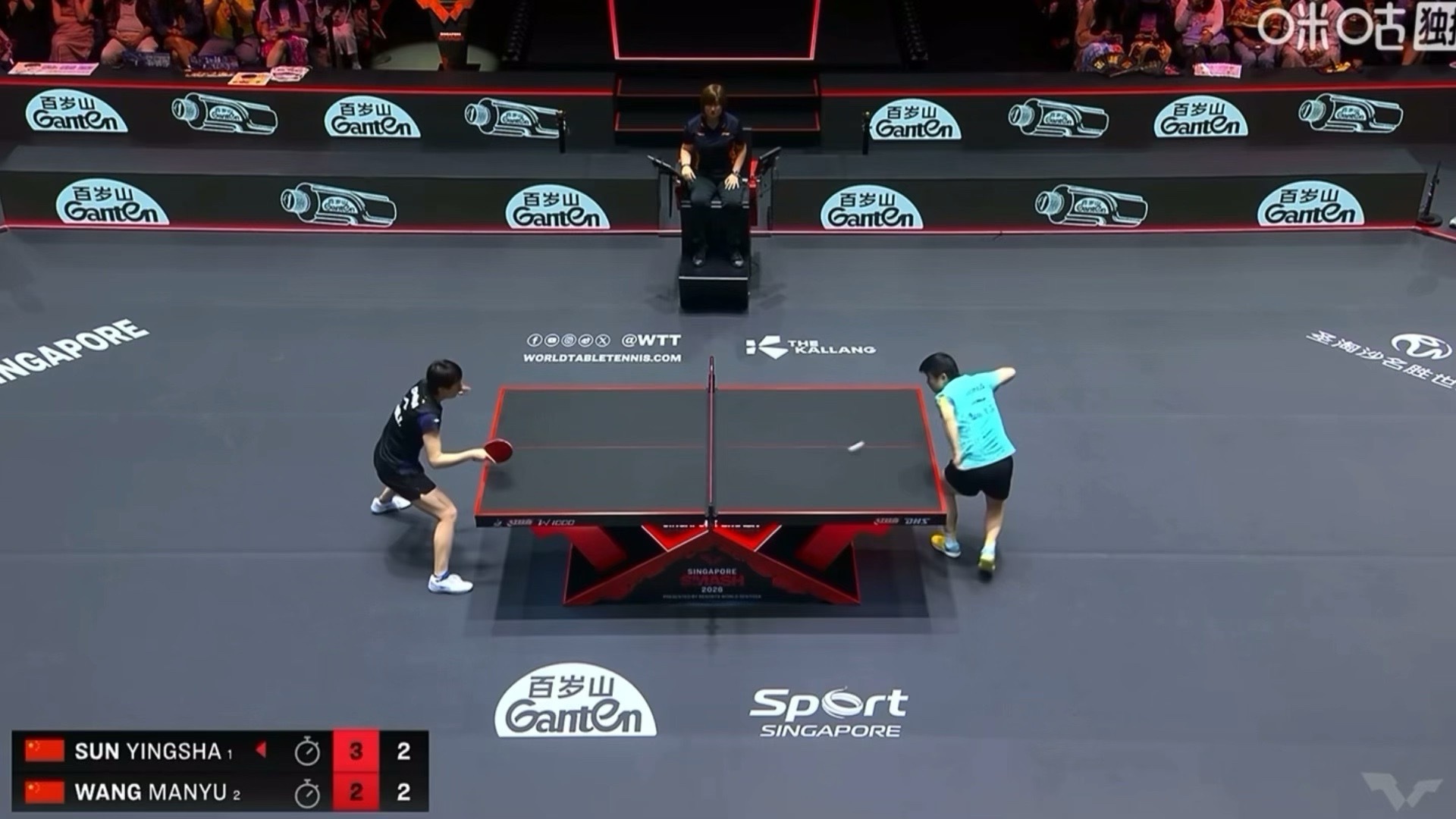 孙颖莎vs王曼昱我靠这个球真🧎🏻♀️了 